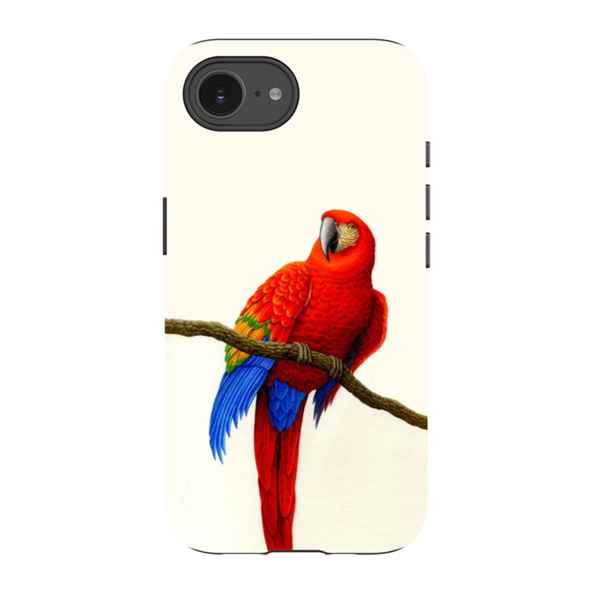 iPhone tough case featuring a vibrant Scarlet Macaw perched on a branch against a cream background.
