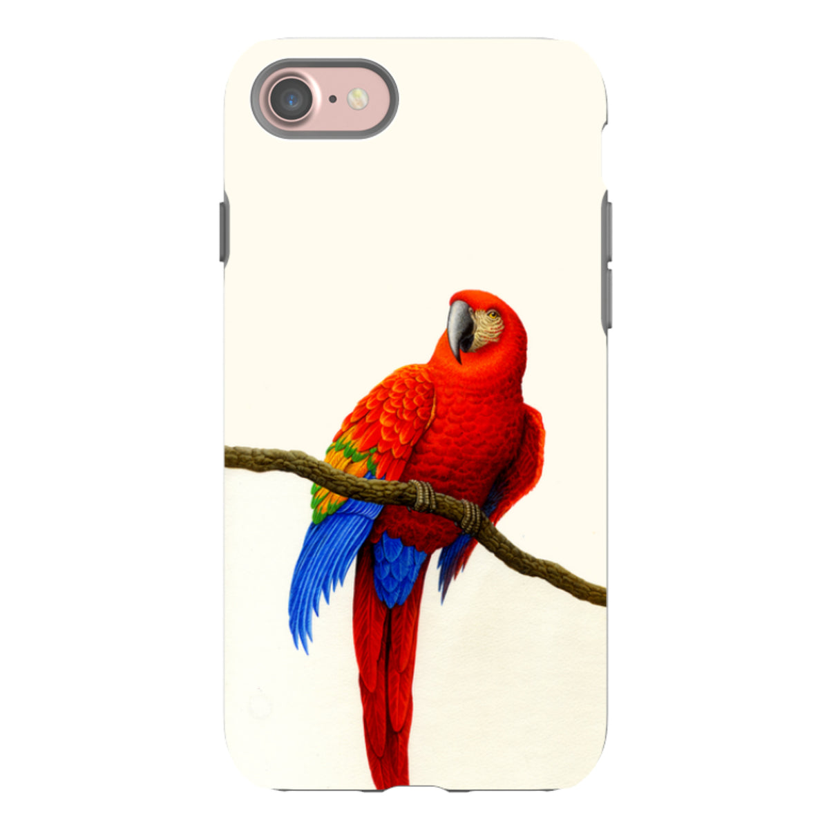 iPhone tough case featuring a vibrant Scarlet Macaw perched on a branch against a cream background.