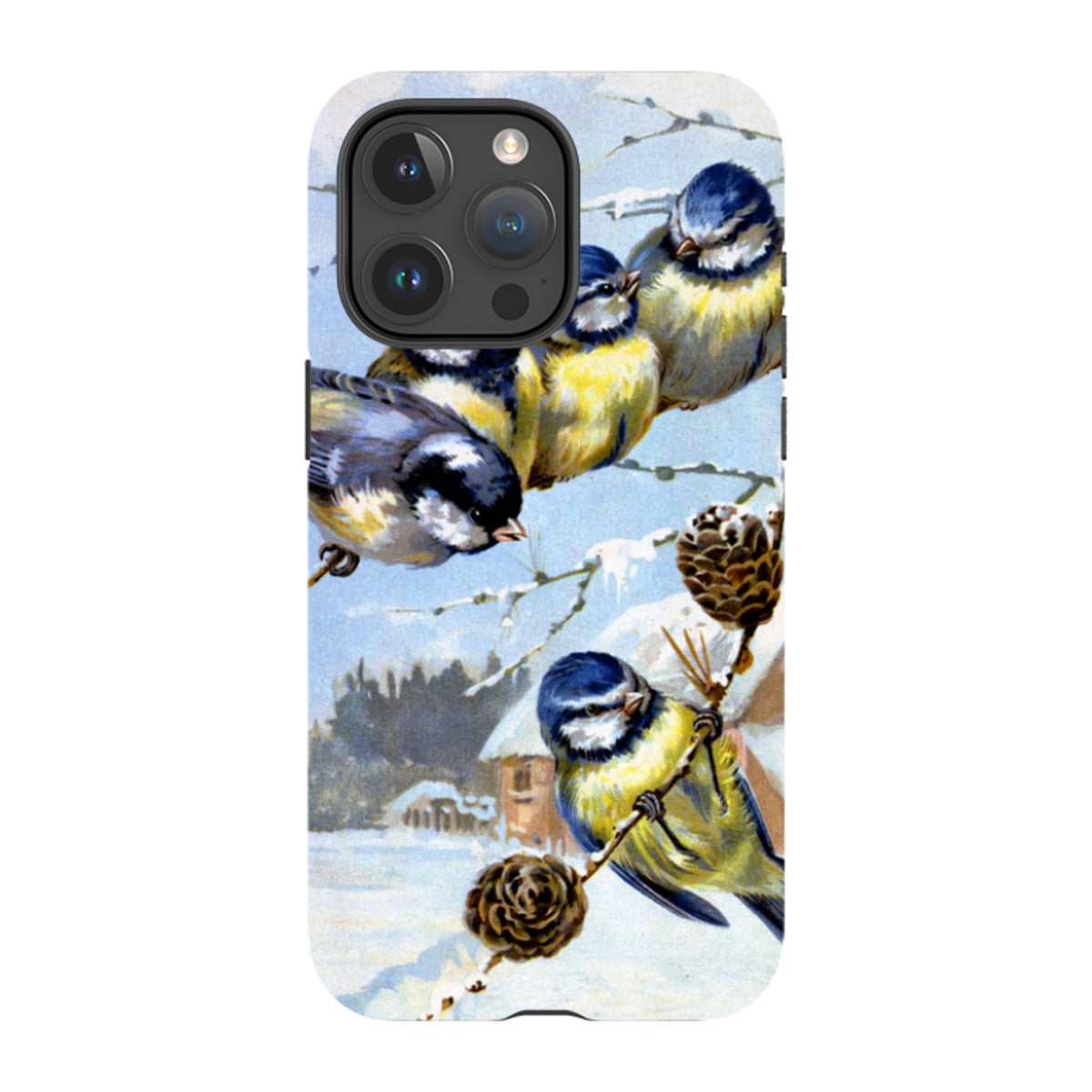 iPhone Schutzhülle – Wintervögel von Heritage
