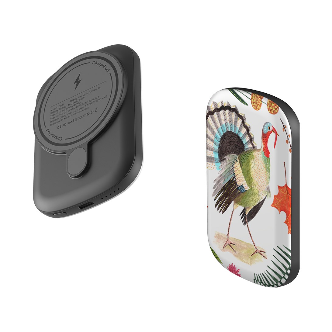 MagSafe Power Bank - Caroline Bonne M Draft