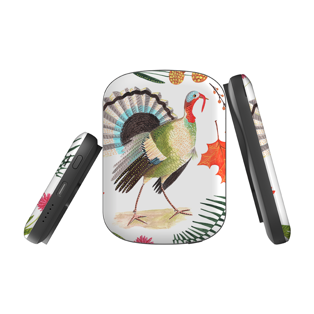 MagSafe Power Bank - Caroline Bonne M Draft