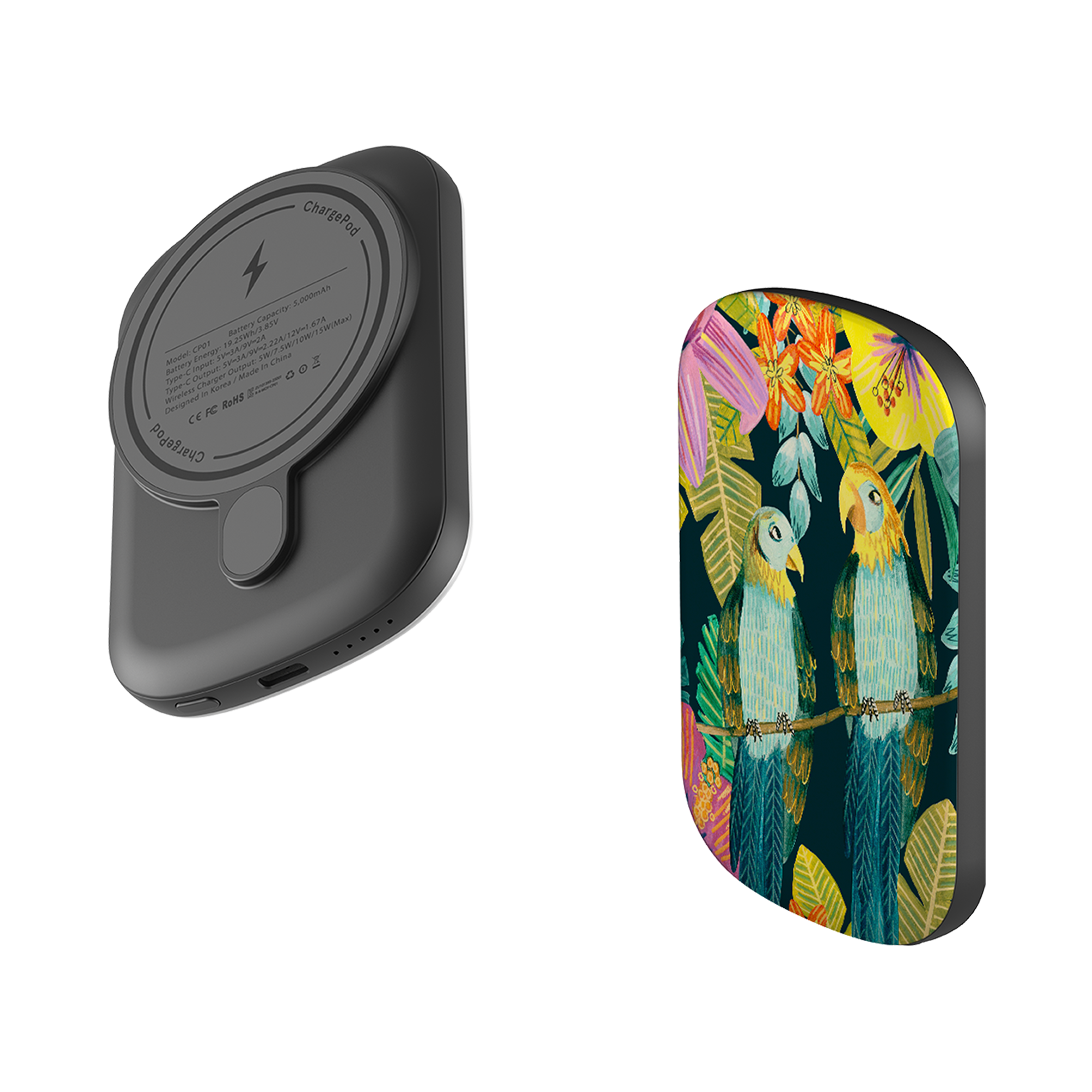 MagSafe Power Bank - Caroline Bonne M Draft