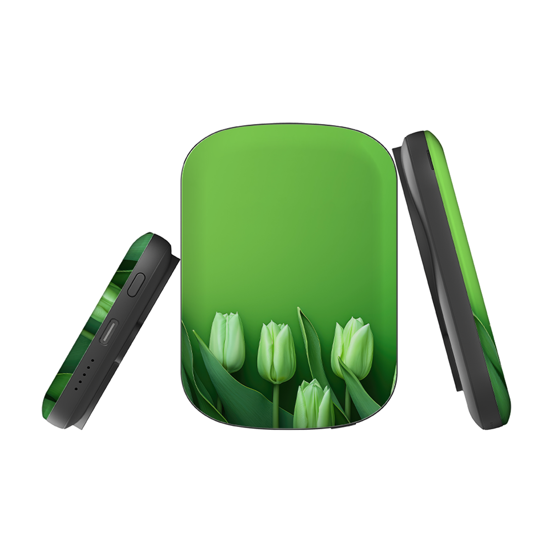 MagSafe Power Bank - Green Floral