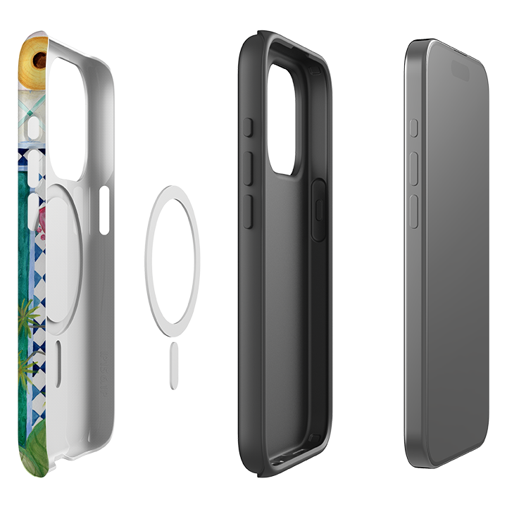 iPhone MagSafe Tough Case - Riad Tiger By Bex Parkin