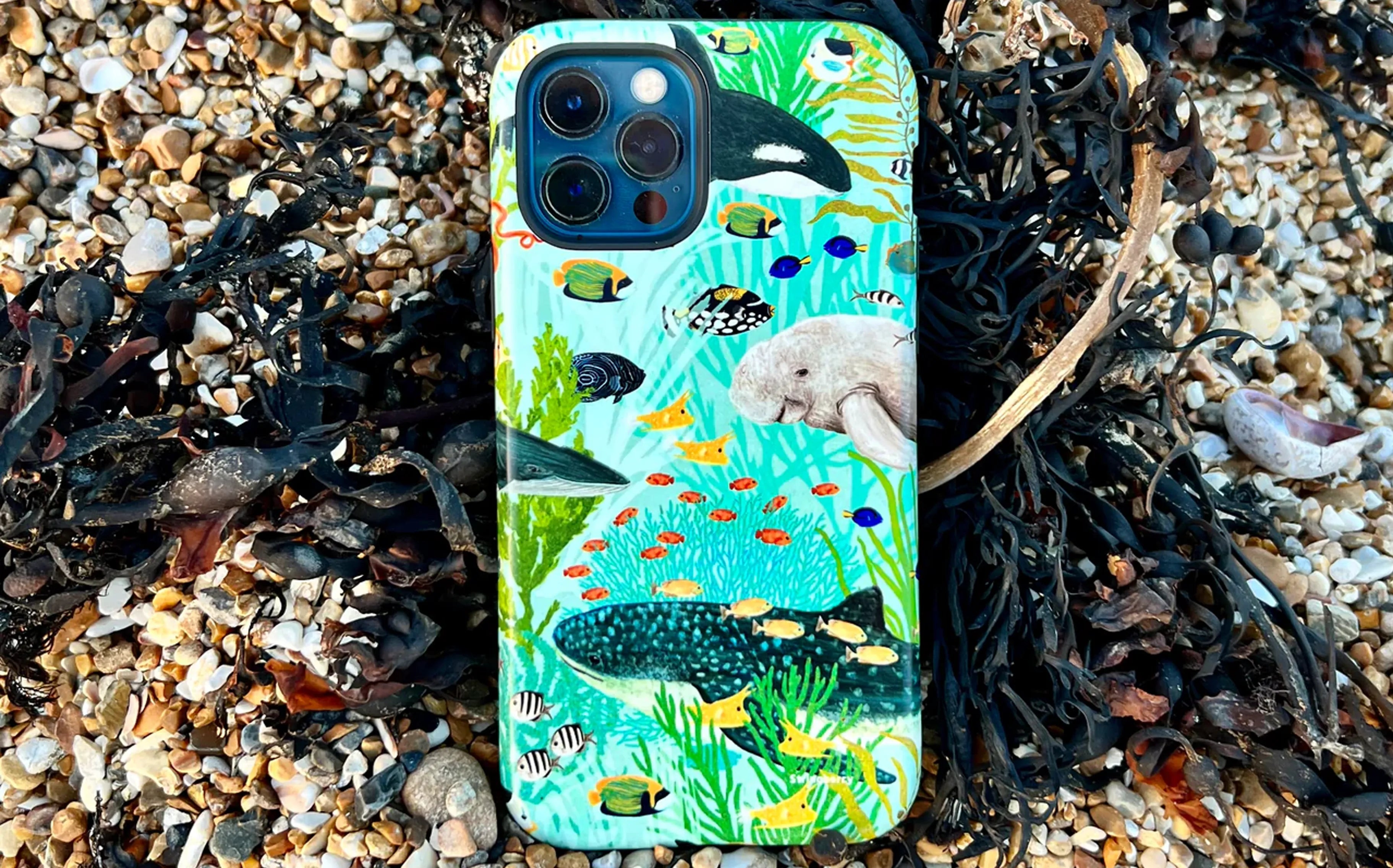 Landcape & Seascapes