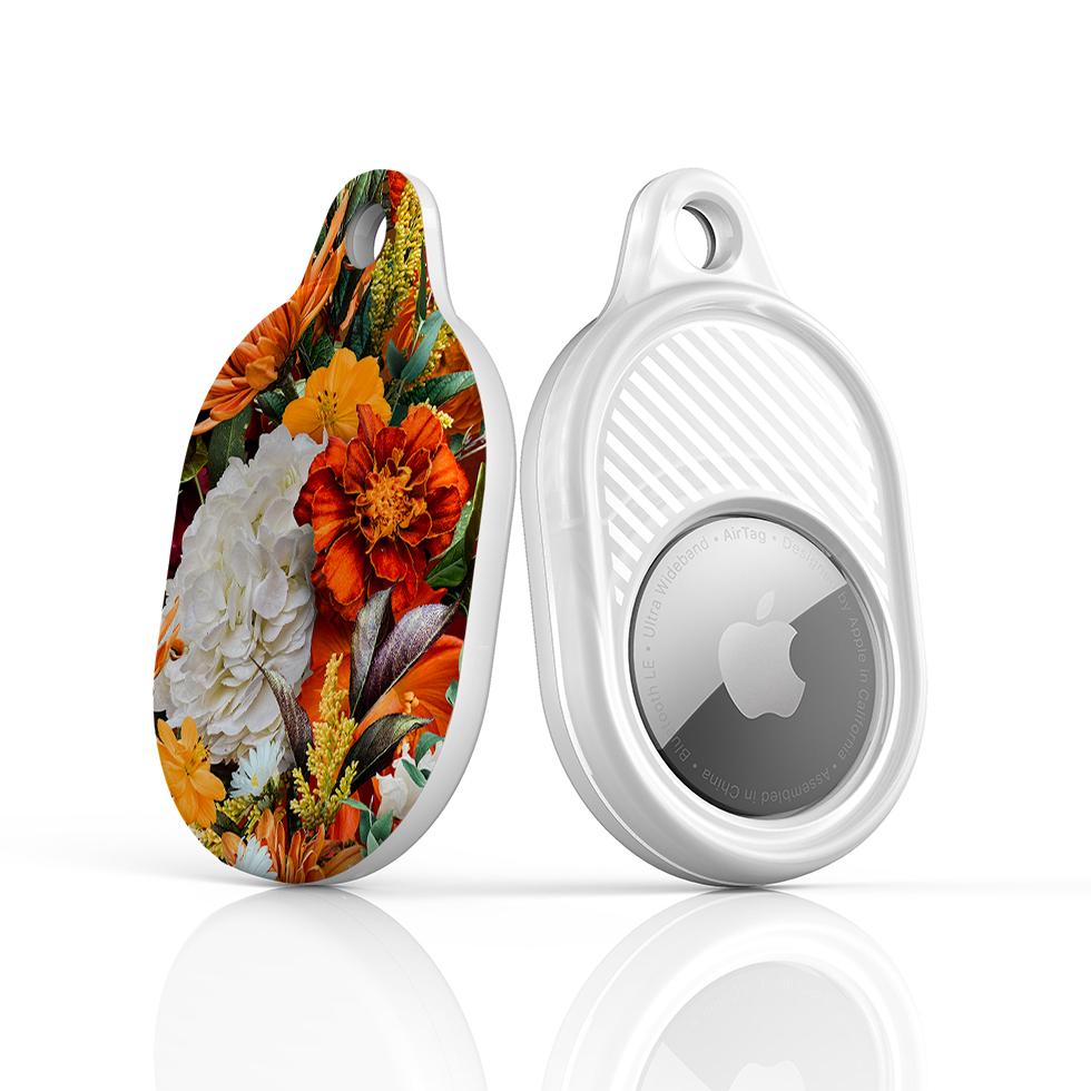 Sunrays Airtag Case