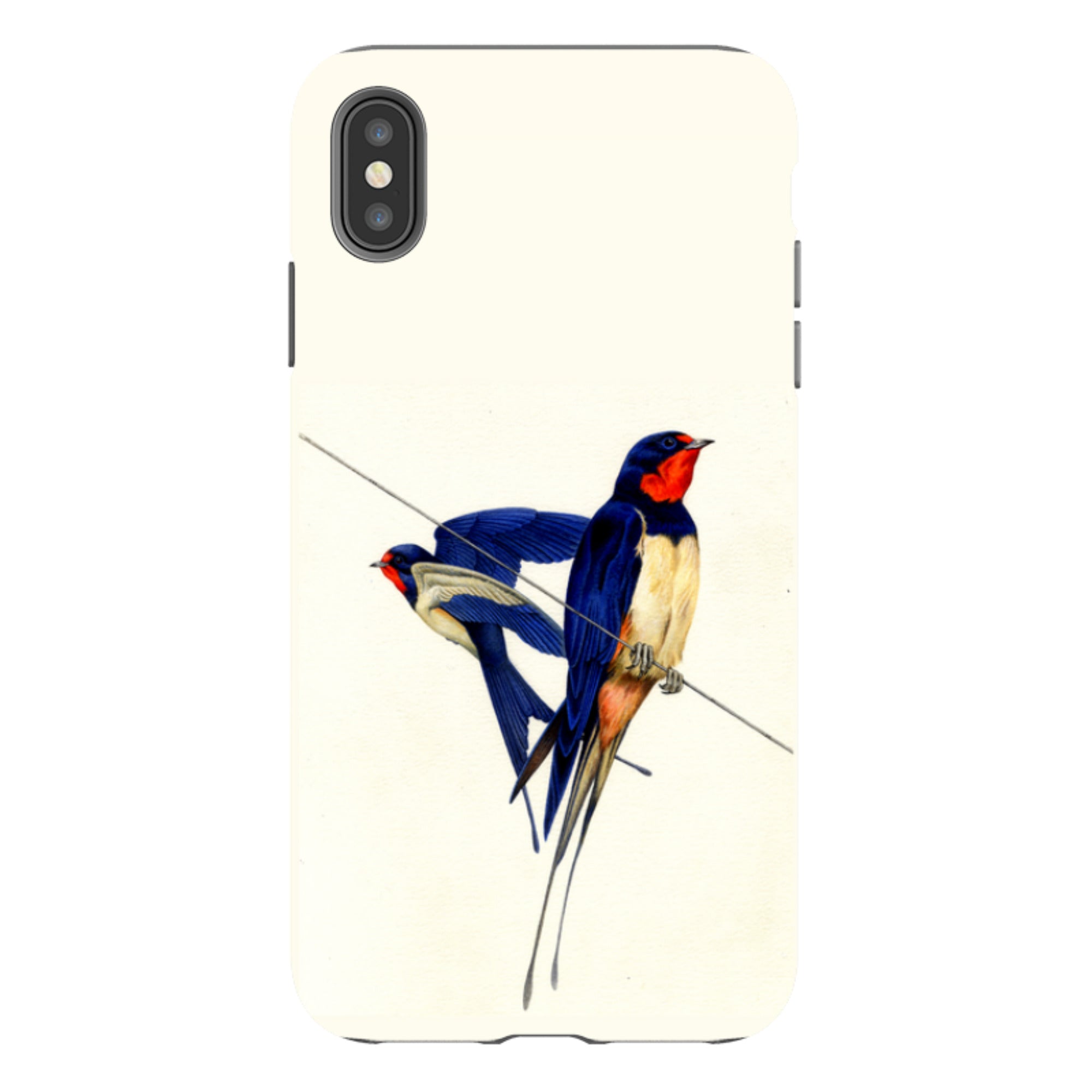 iPhone Tough Case - Swallows By Philip Hood