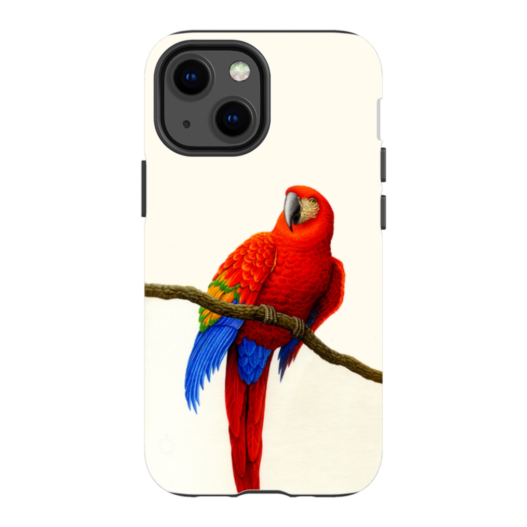 iPhone Tough Case - Scarlet Macaw By Philip Hood