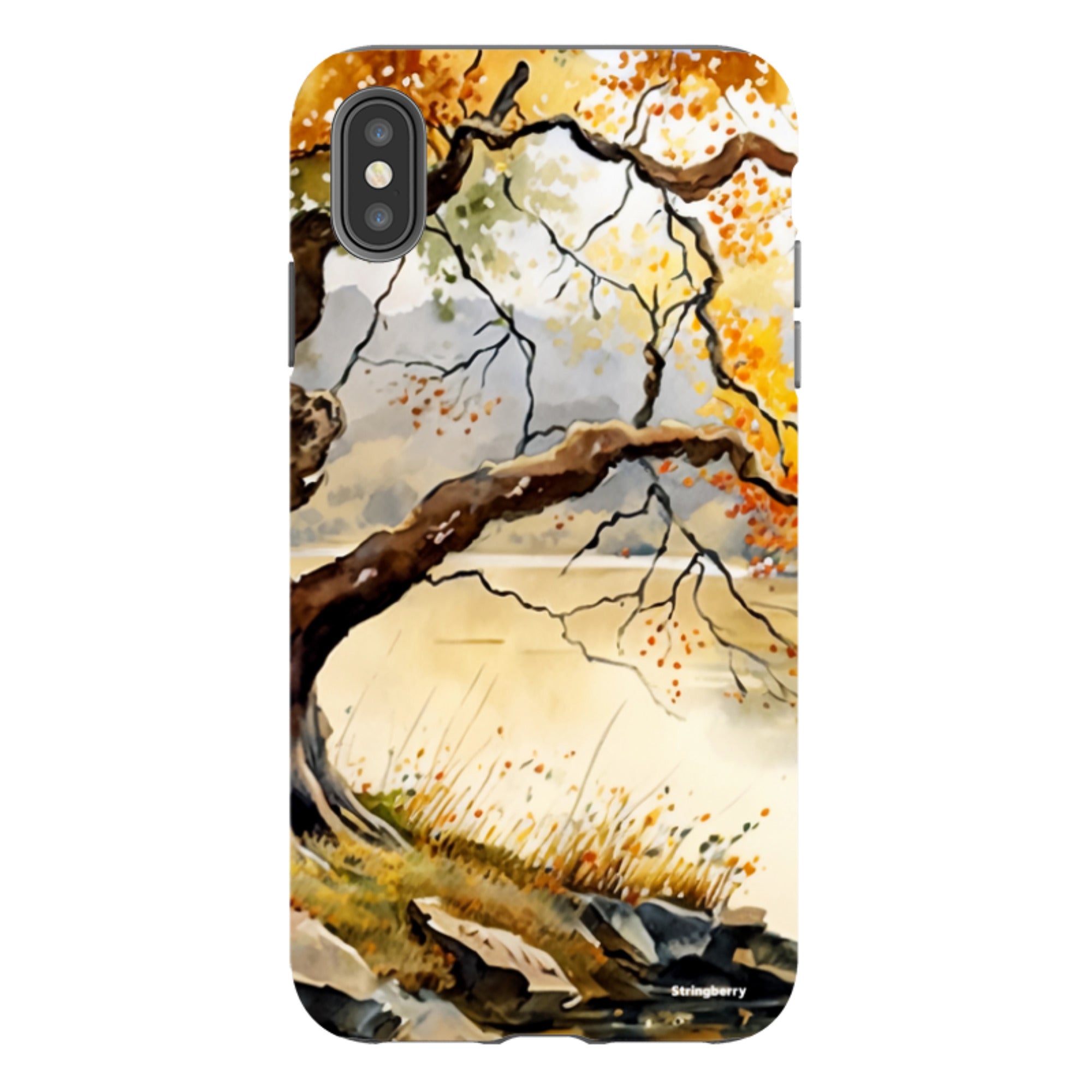 iPhone Tough Case - Ivybridge