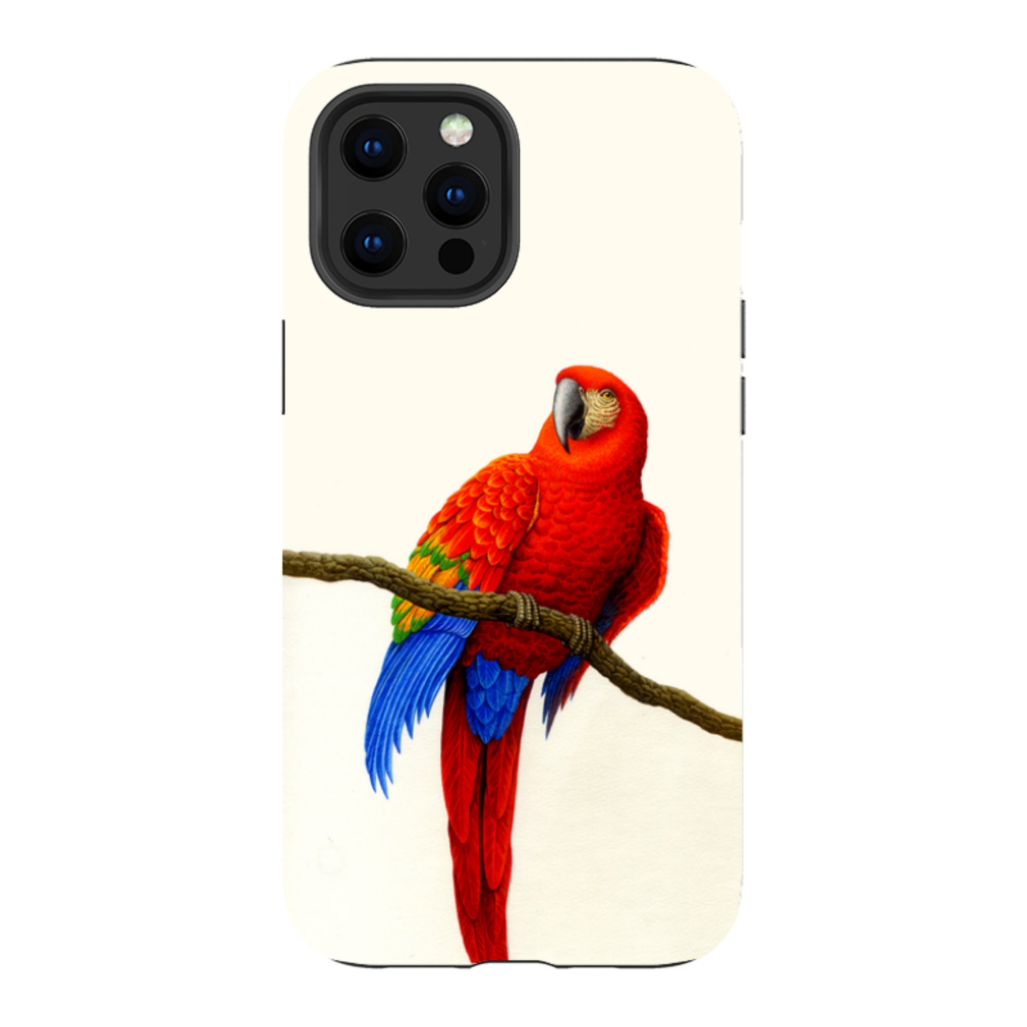 iPhone Tough Case - Scarlet Macaw By Philip Hood
