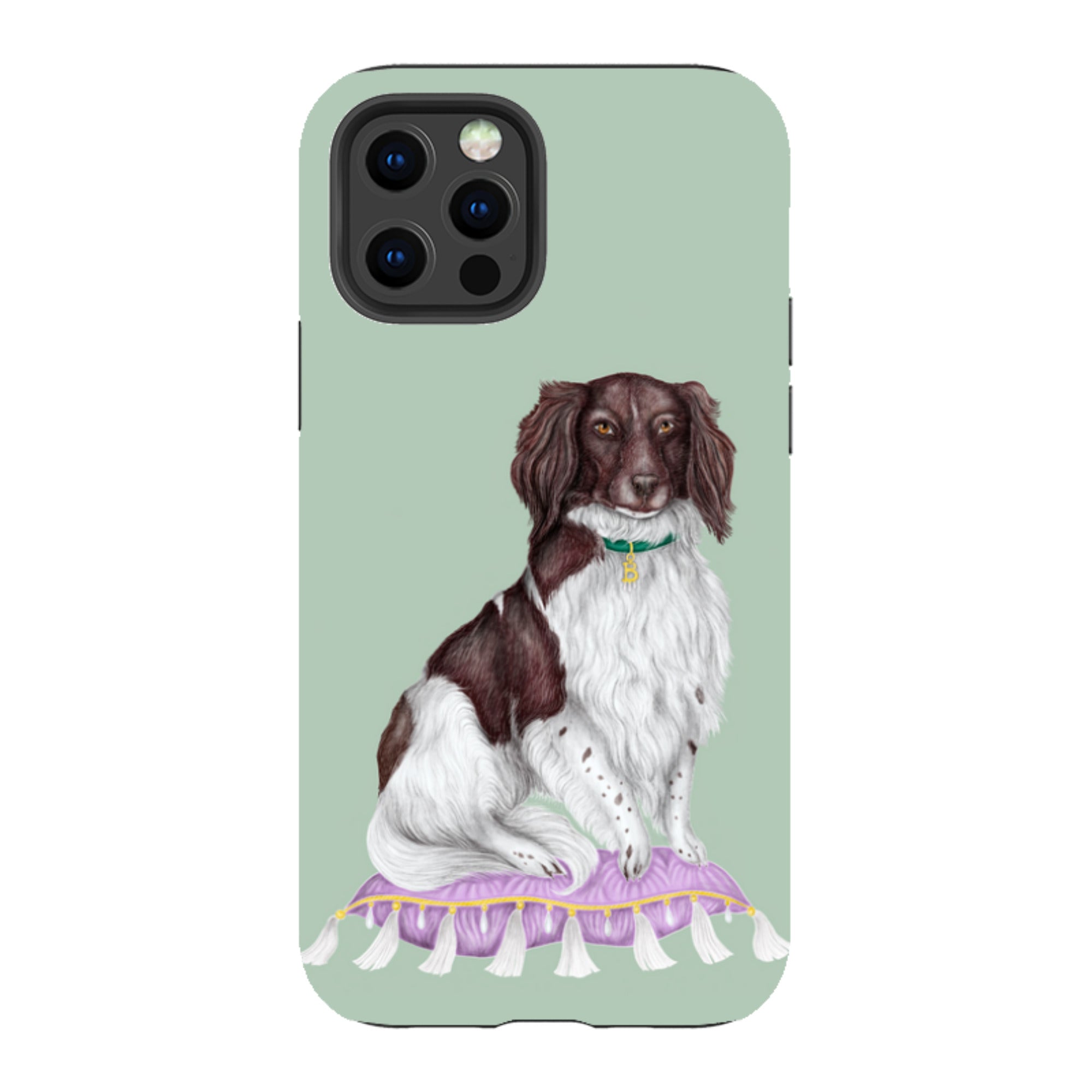 iPhone Tough Case - Spaniel By Catherine Rowe