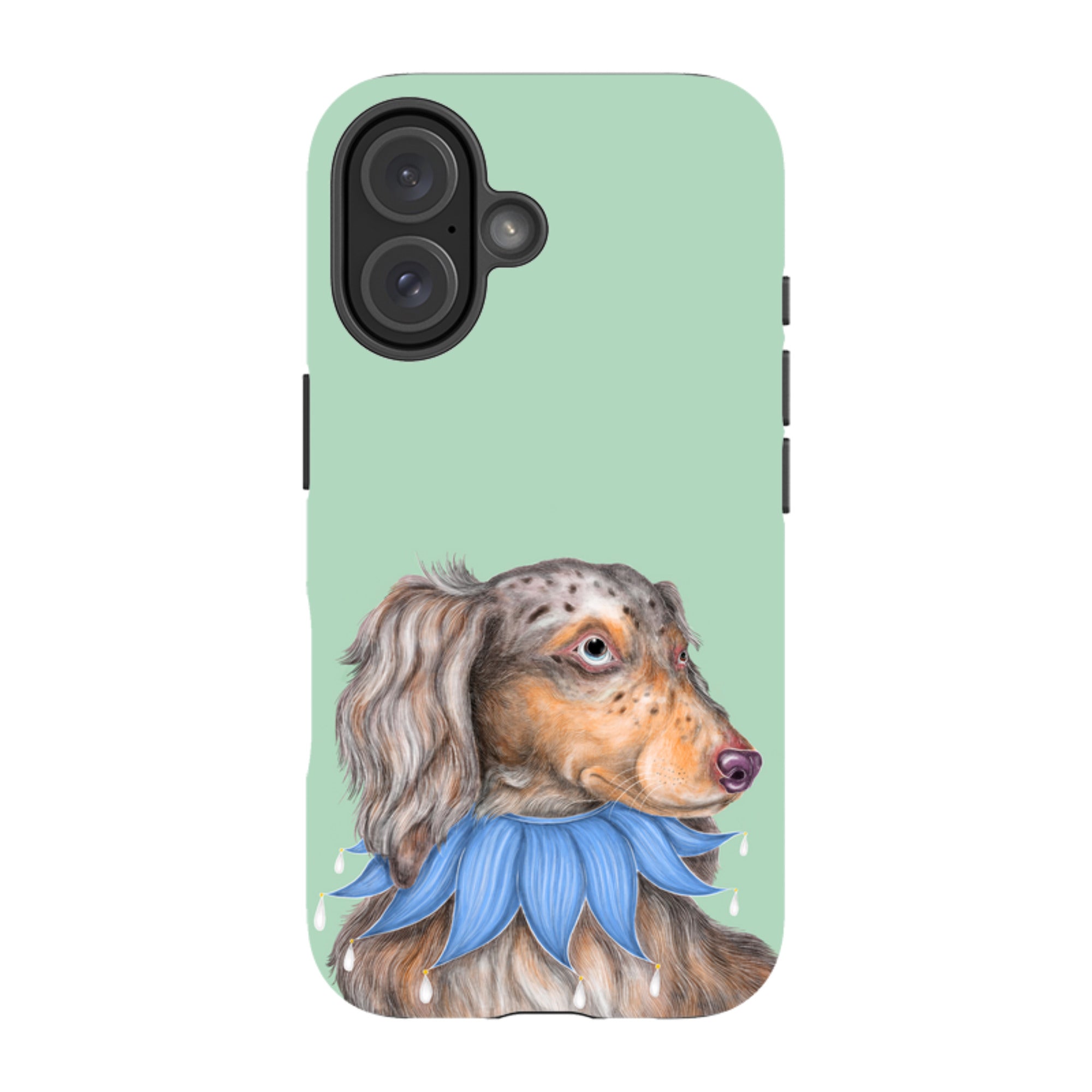 iPhone MagSafe Tough Case - Dachshund By Catherine Rowe