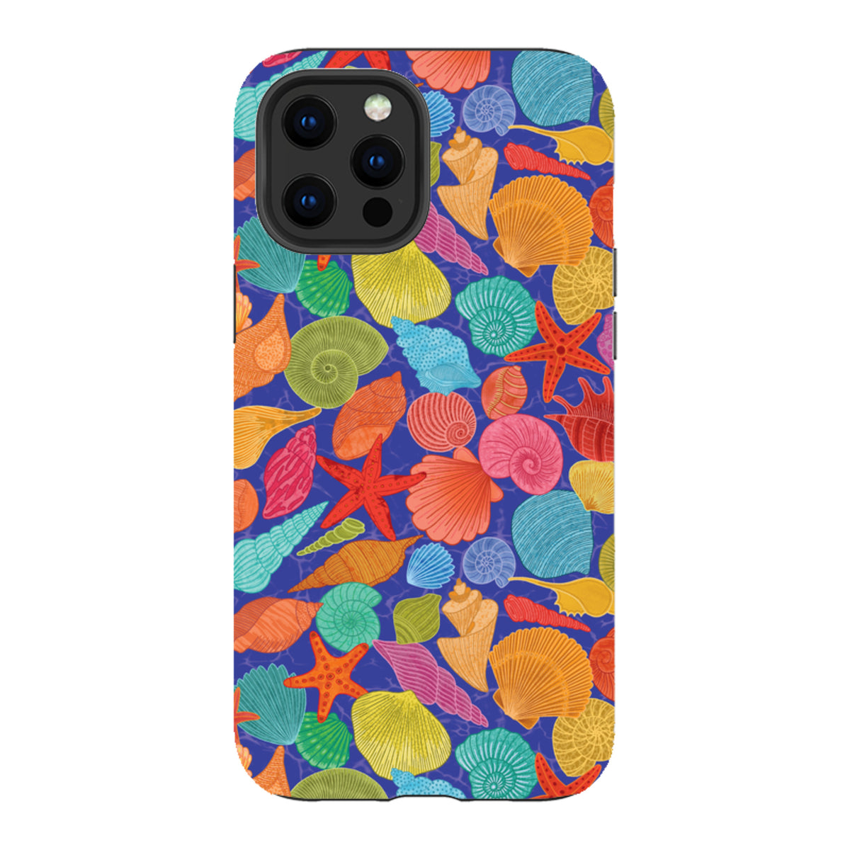 iPhone Case - Shells By Natalie Pedetti Prack