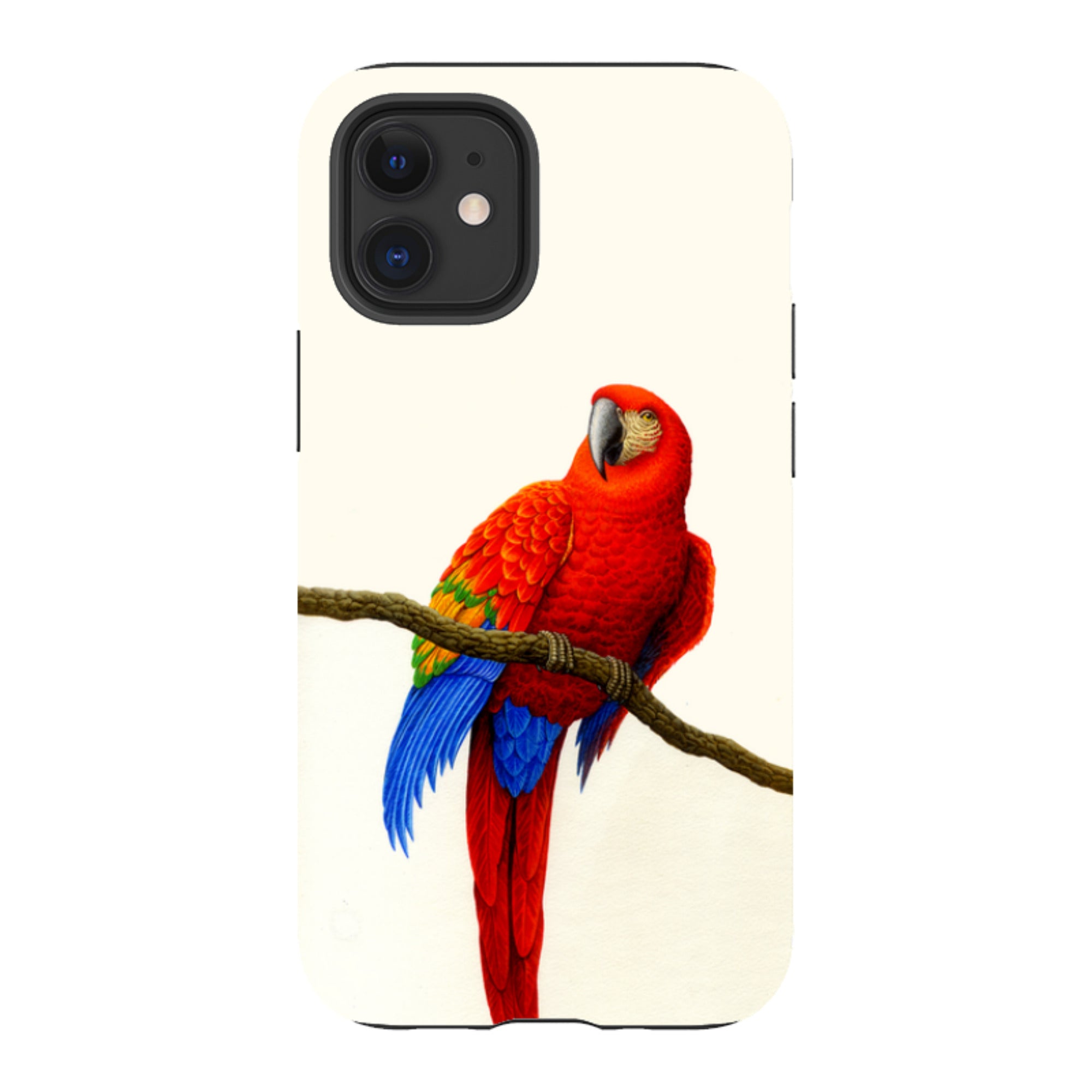 iPhone Tough Case - Scarlet Macaw By Philip Hood