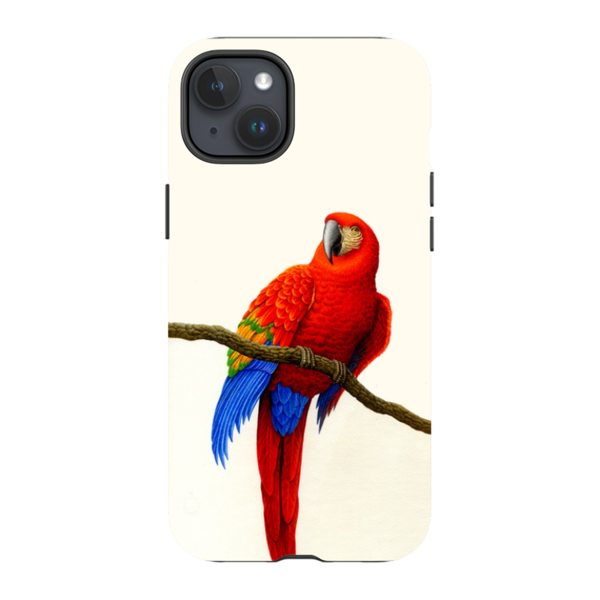 iPhone Tough Case - Scarlet Macaw By Philip Hood