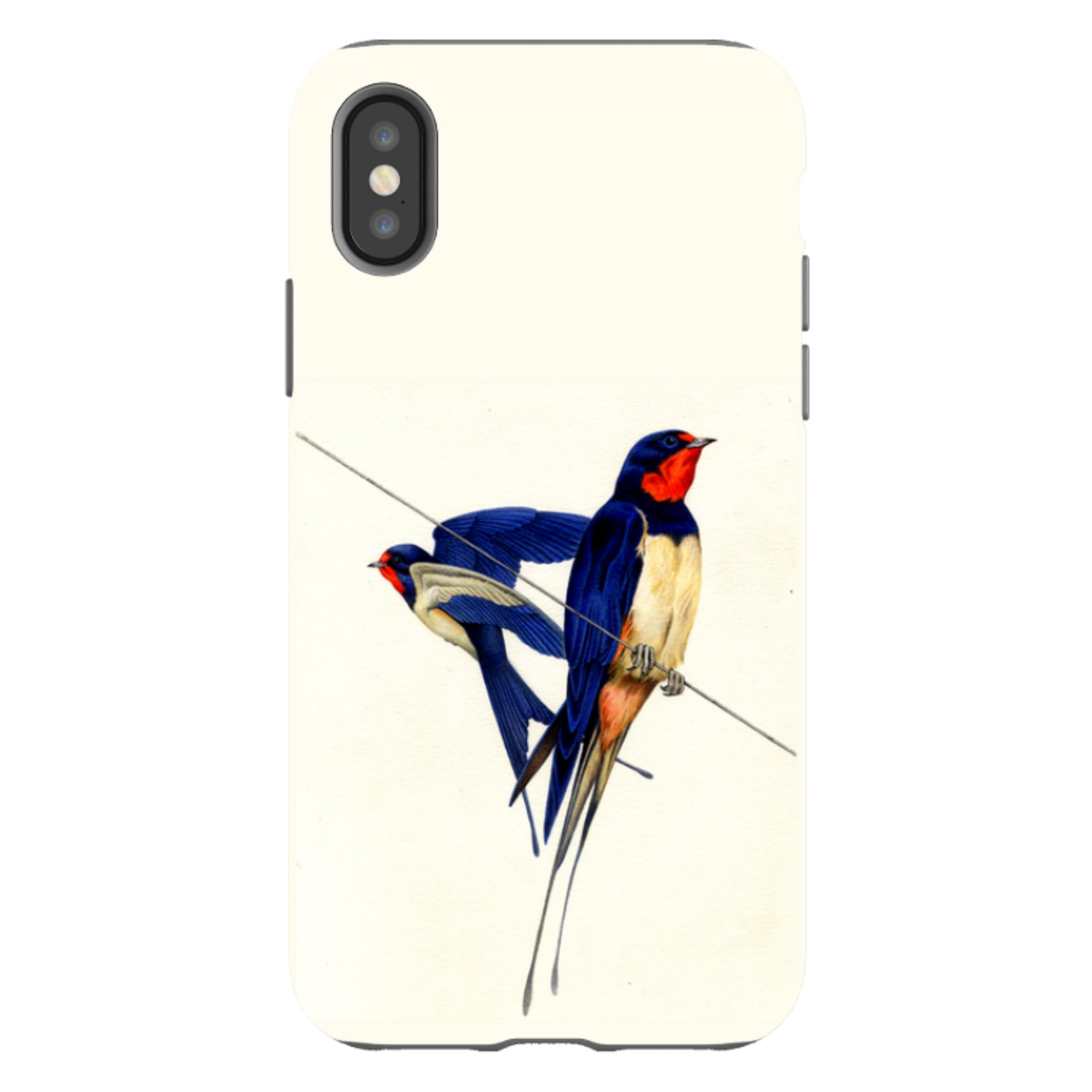 iPhone Tough Case - Swallows By Philip Hood