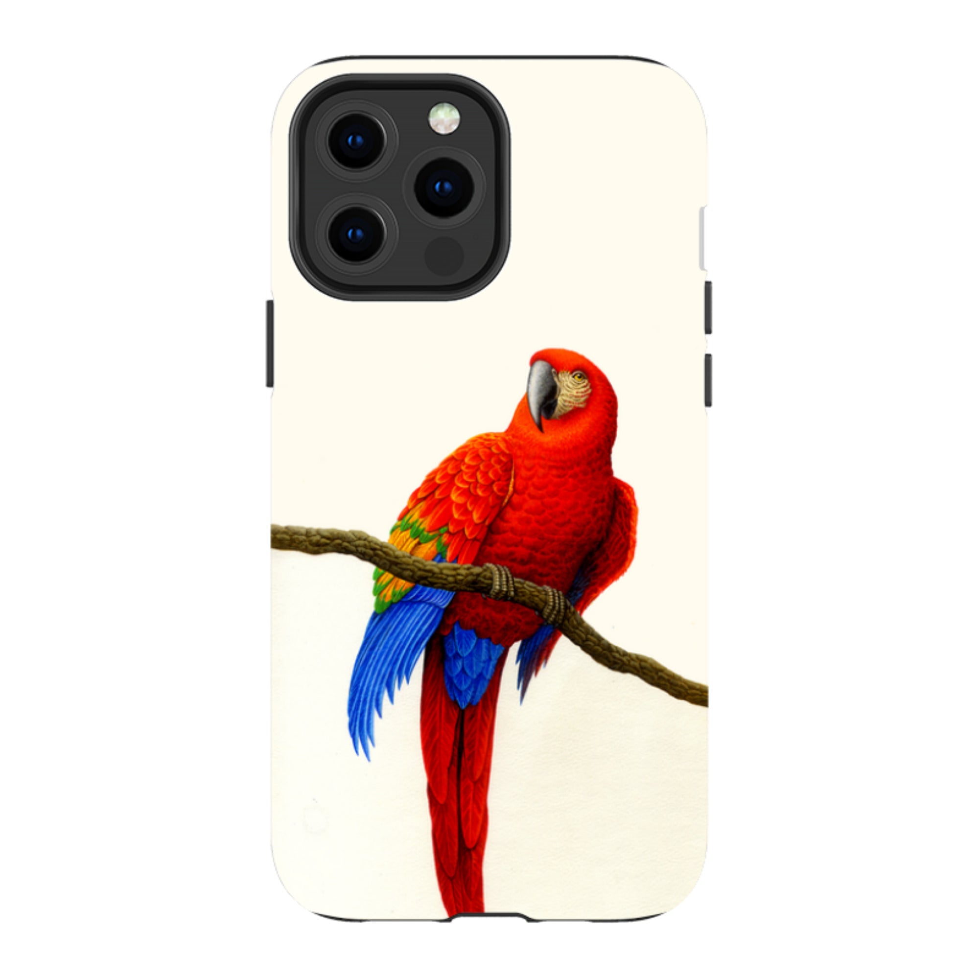 iPhone Tough Case - Scarlet Macaw By Philip Hood