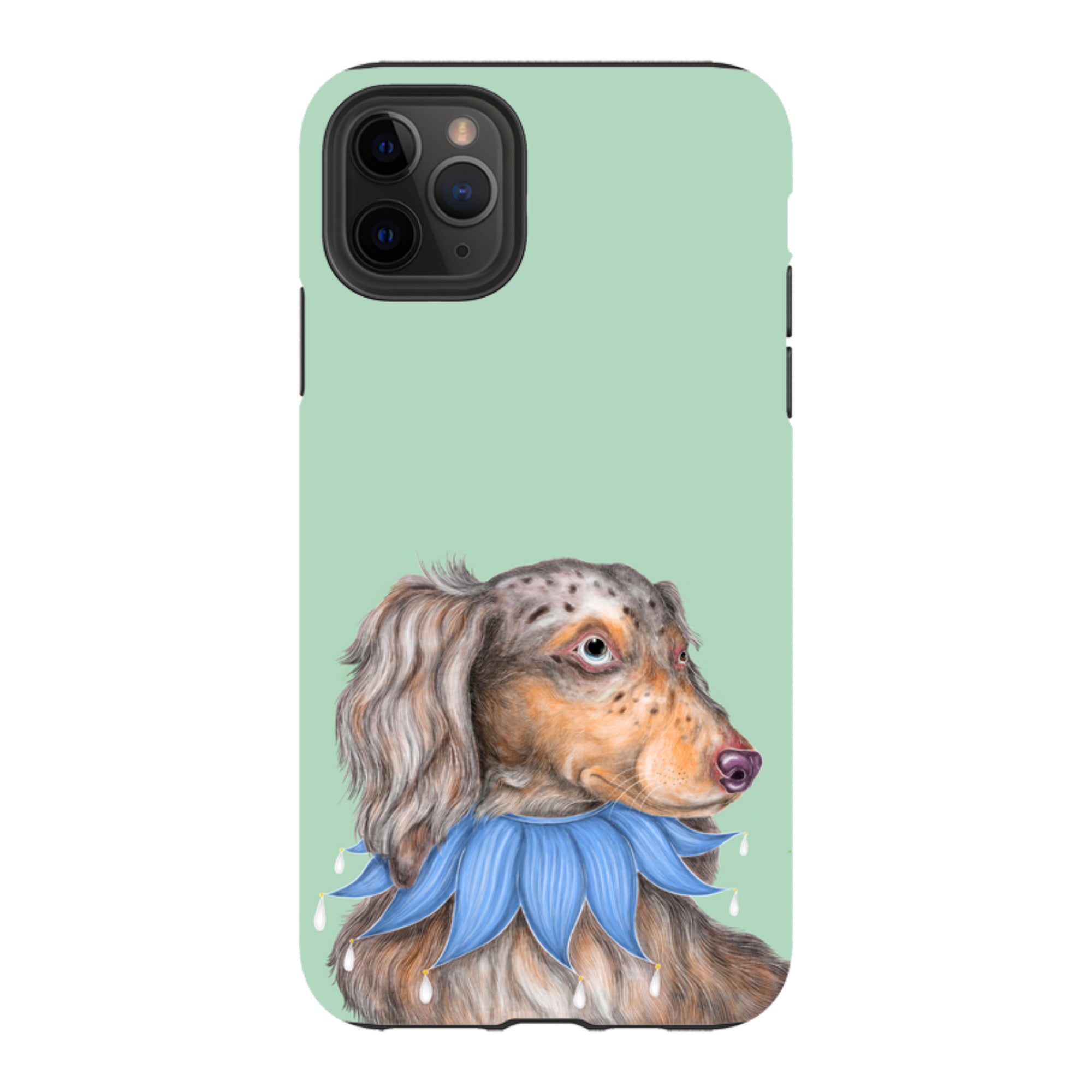 iPhone Tough Case - Dachshund By Catherine Rowe