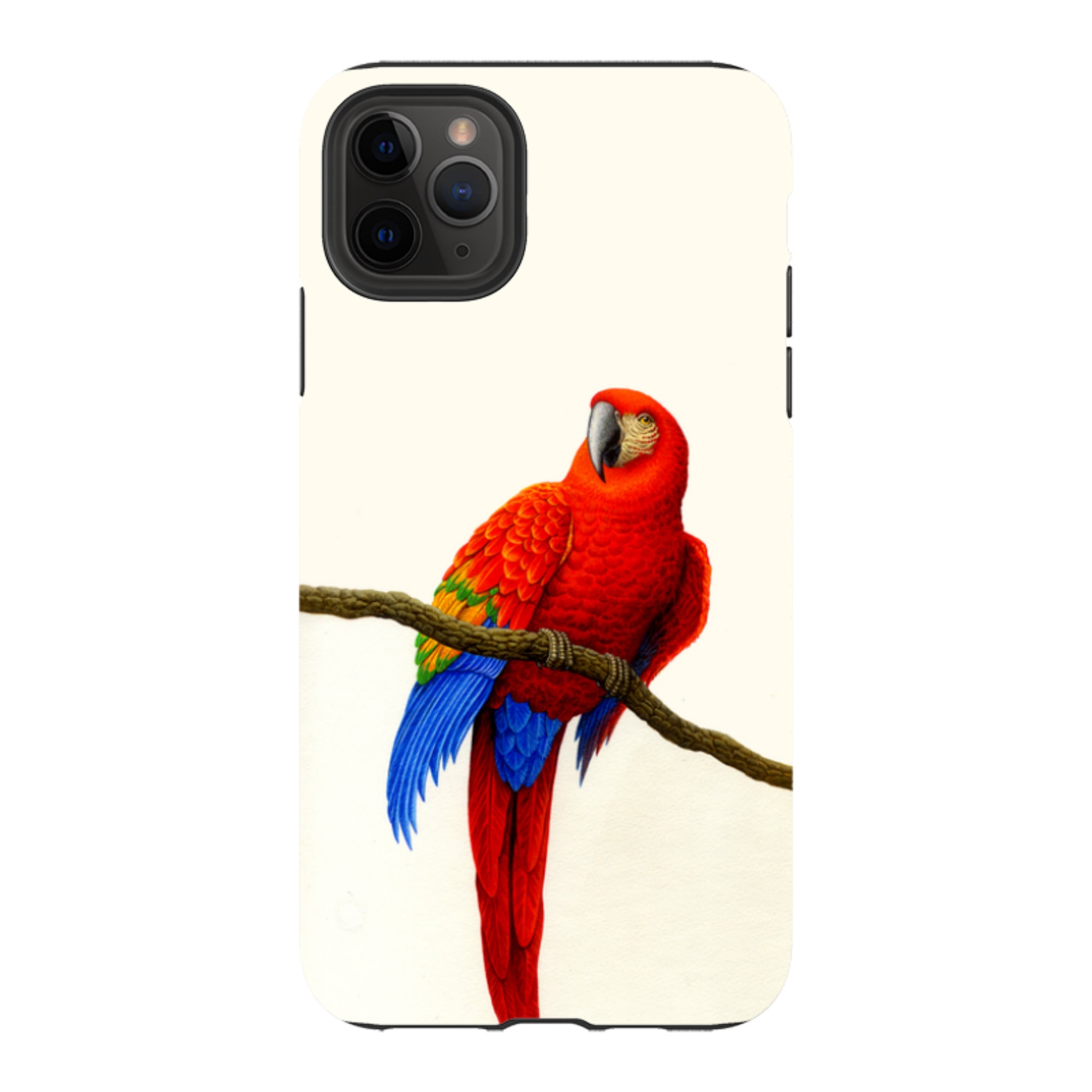 iPhone Tough Case - Scarlet Macaw By Philip Hood