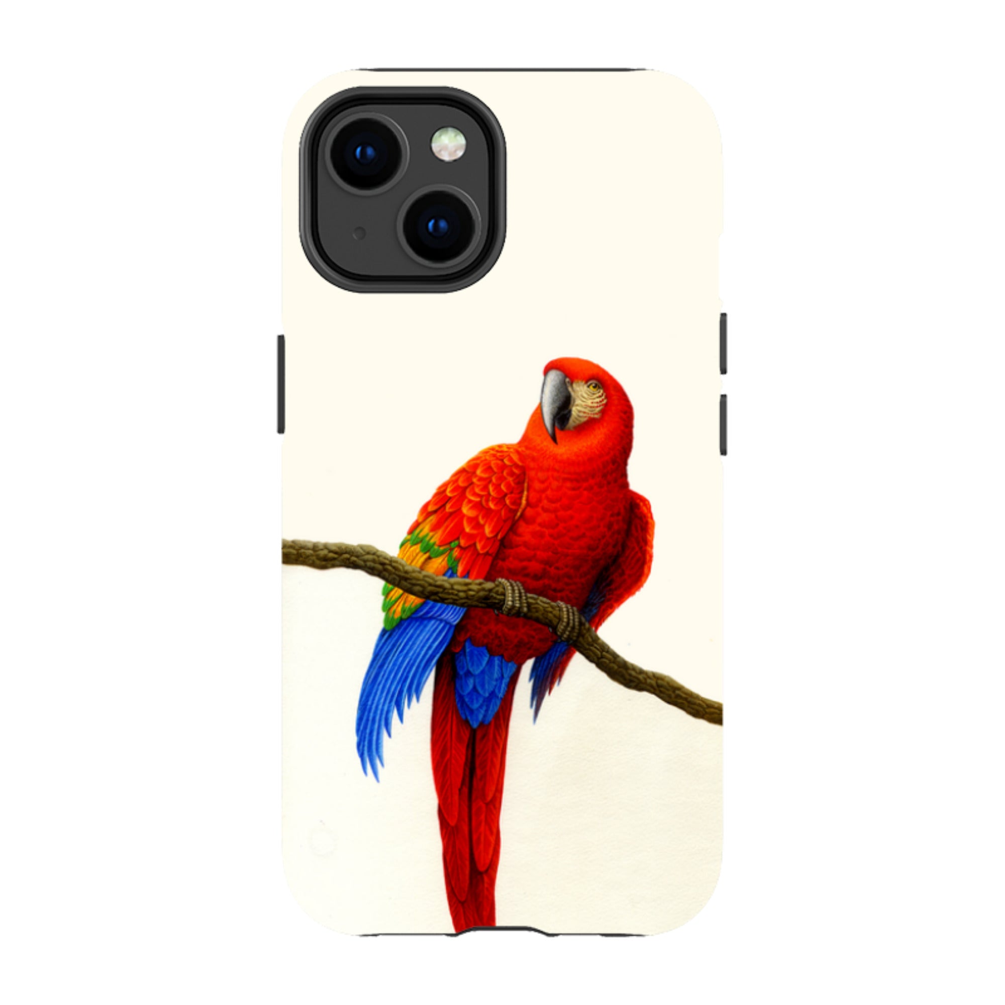 iPhone Tough Case - Scarlet Macaw By Philip Hood