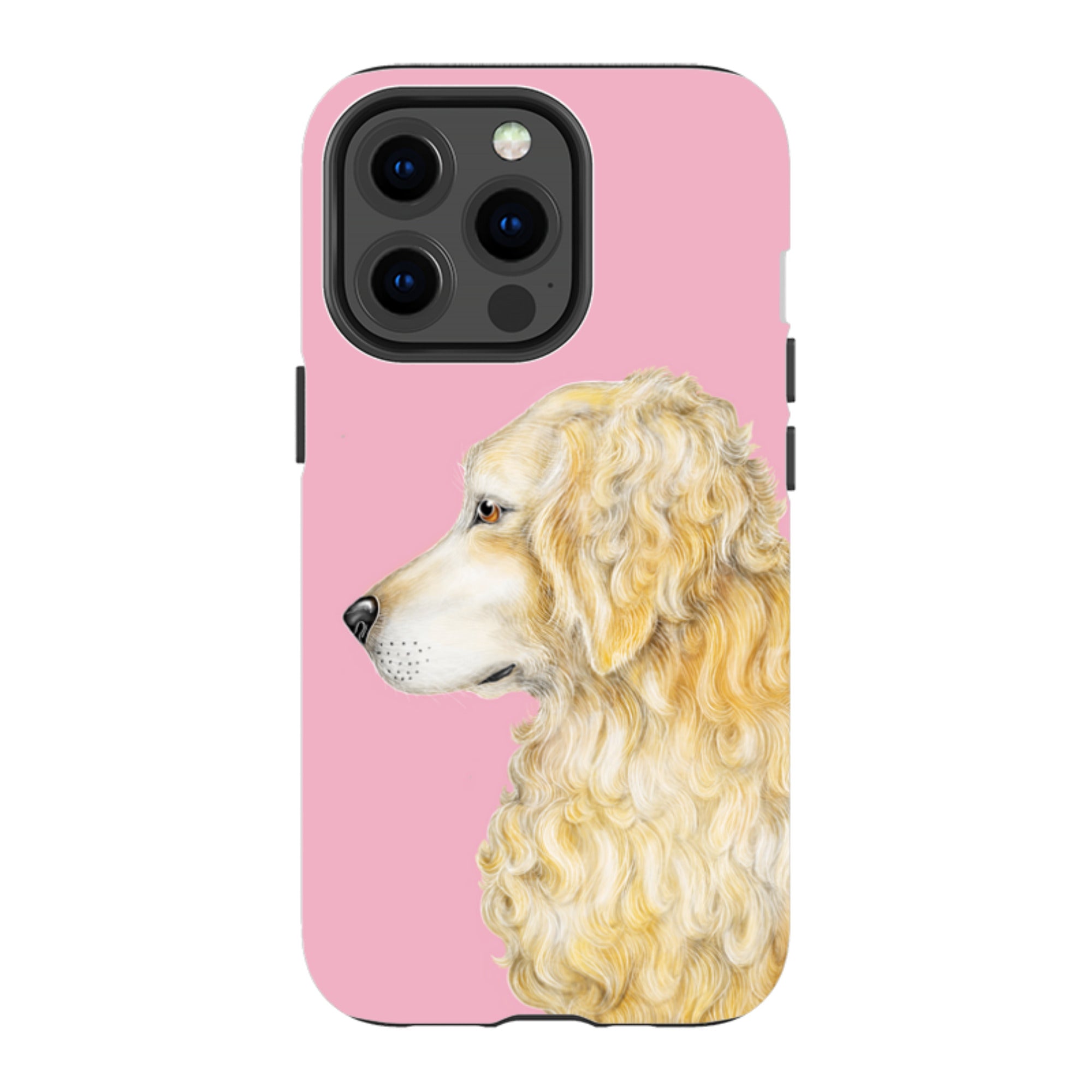 iPhone MagSafe Tough Case - Retriever By Catherine Rowe