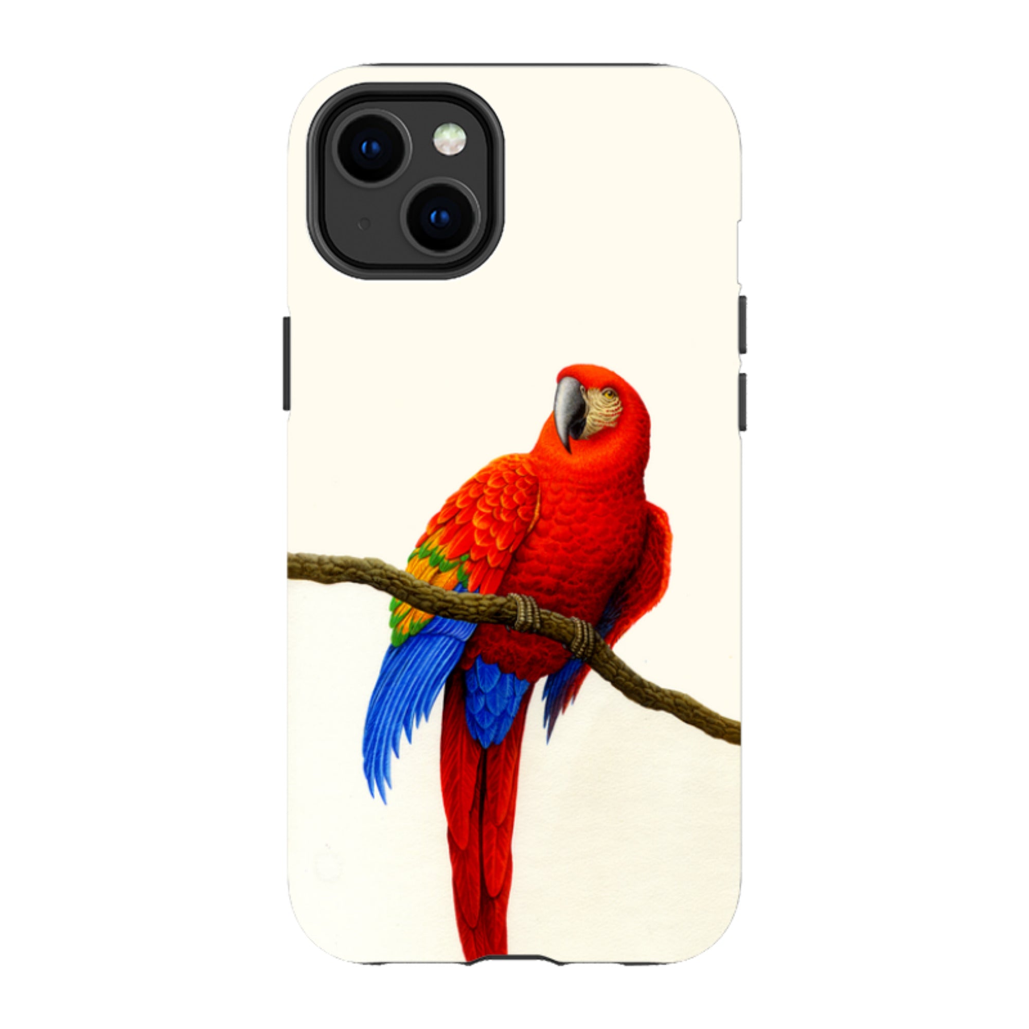 iPhone Tough Case - Scarlet Macaw By Philip Hood