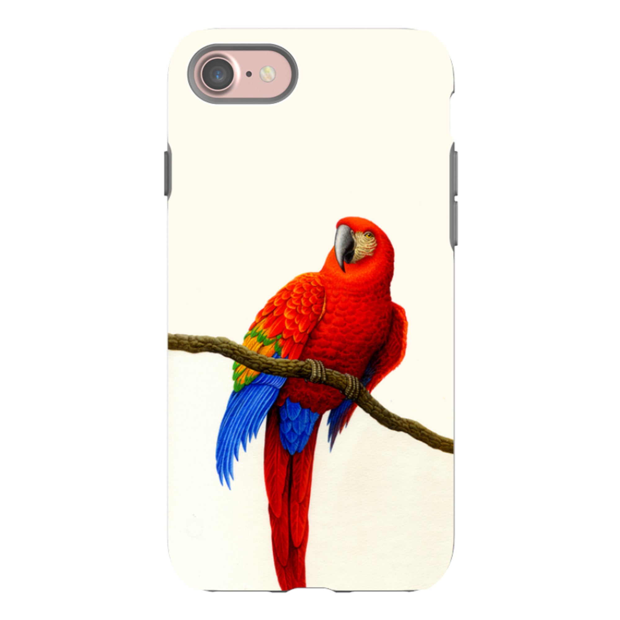 iPhone Tough Case - Scarlet Macaw By Philip Hood