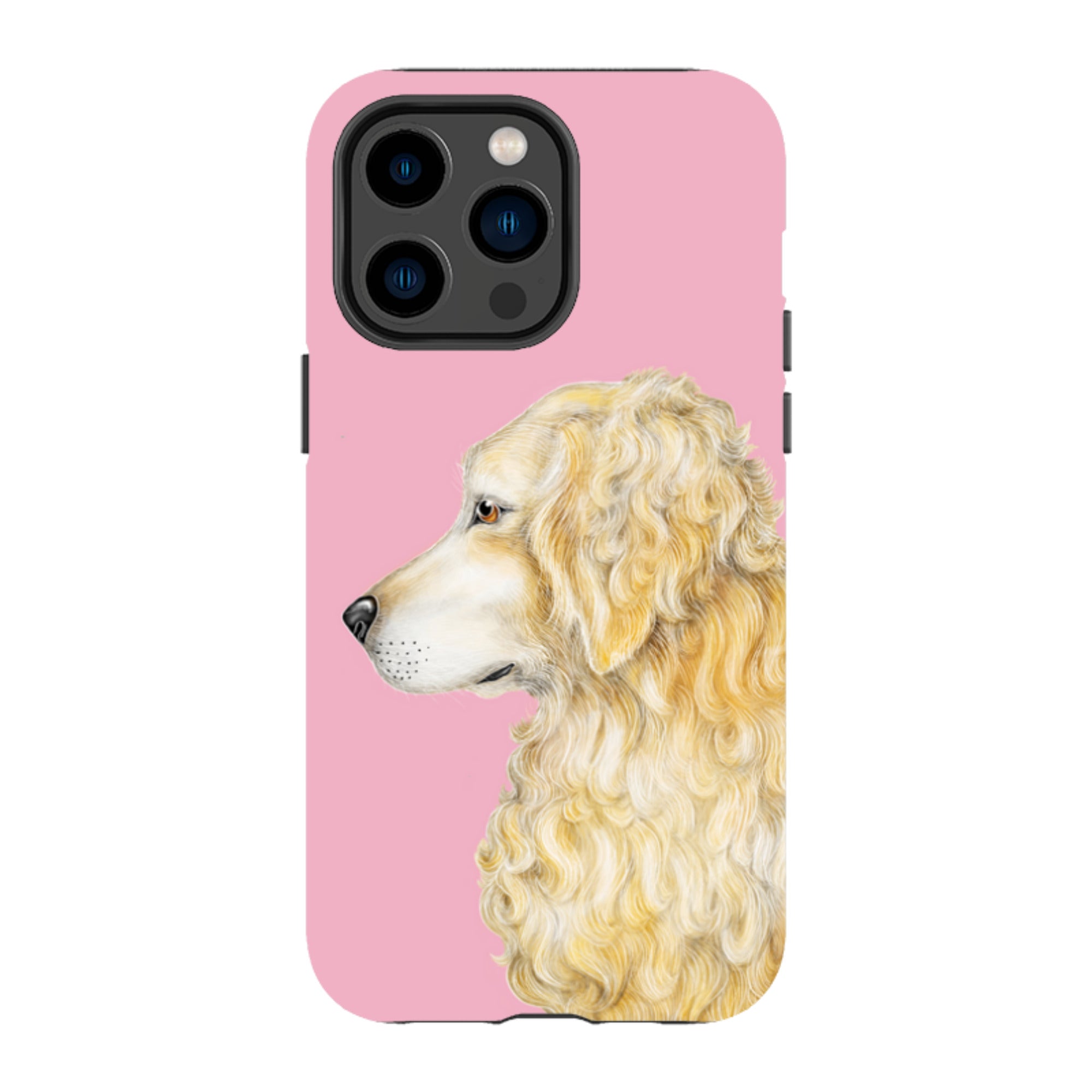 iPhone MagSafe Tough Case - Retriever By Catherine Rowe