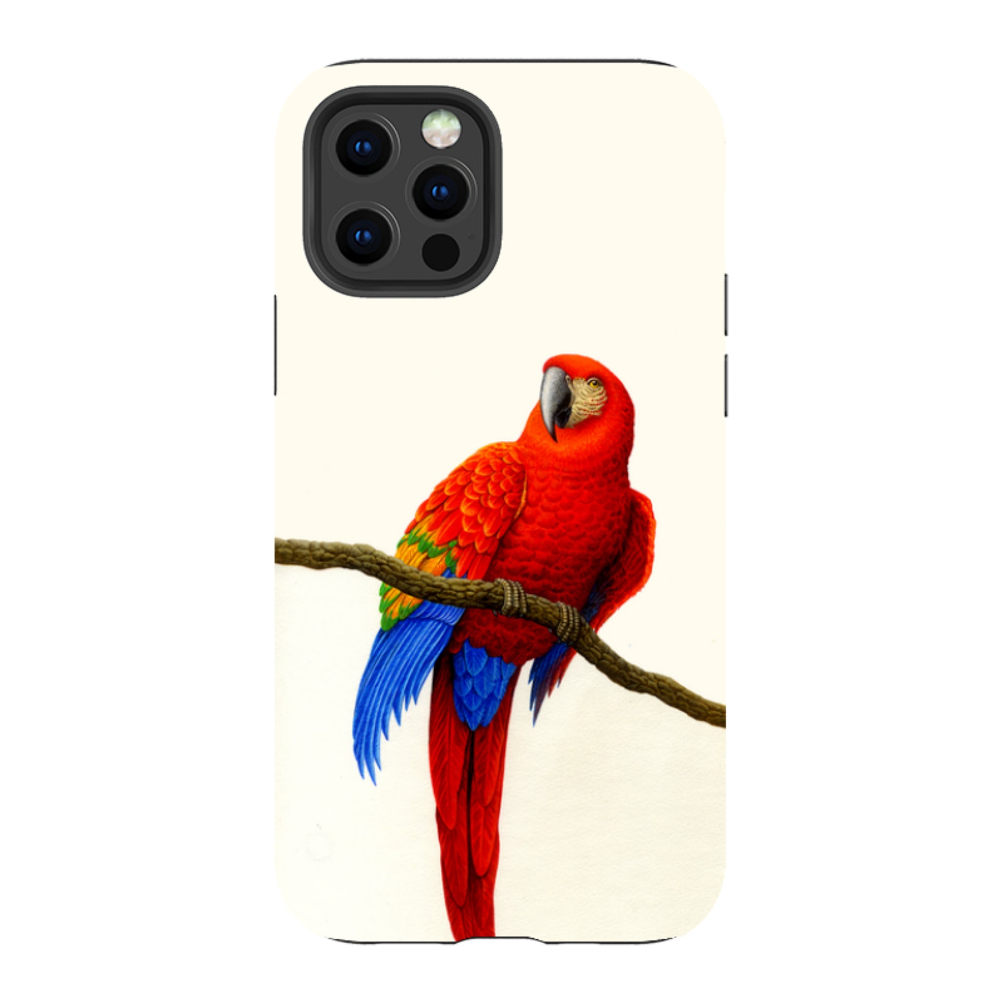 iPhone Tough Case - Scarlet Macaw By Philip Hood