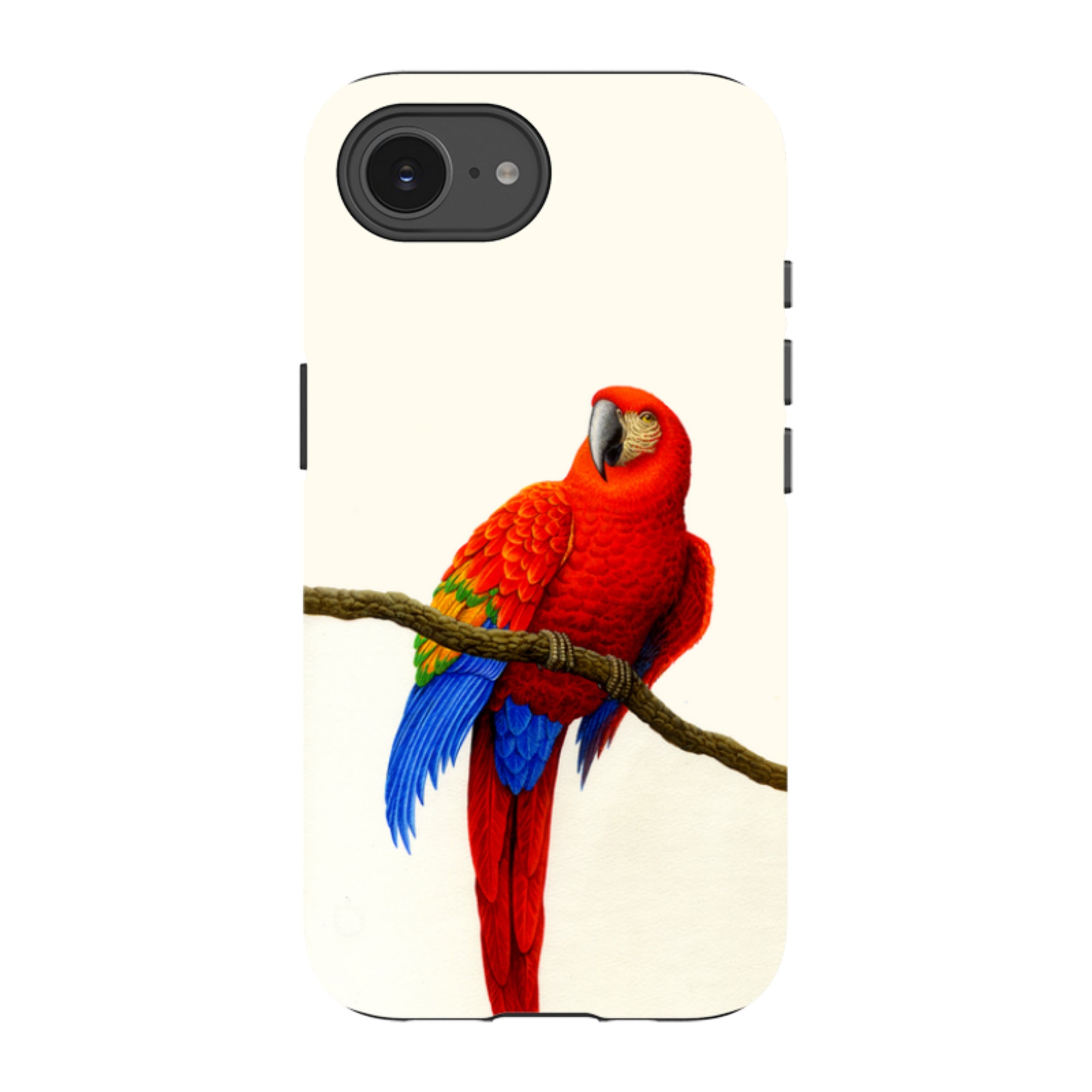 iPhone Tough Case - Scarlet Macaw By Philip Hood