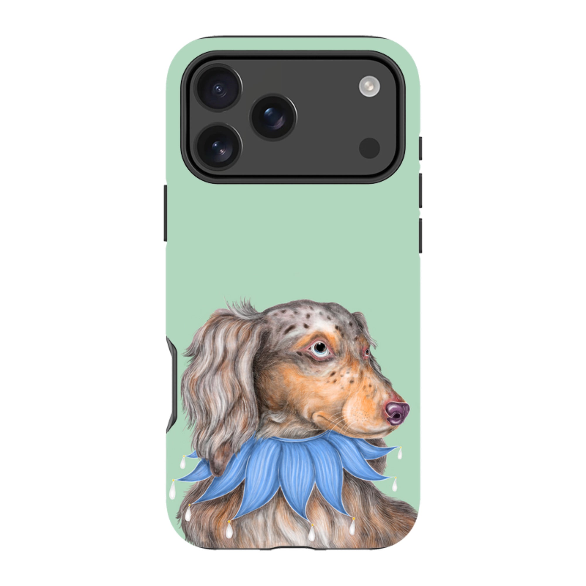 iPhone MagSafe Tough Case - Dachshund By Catherine Rowe