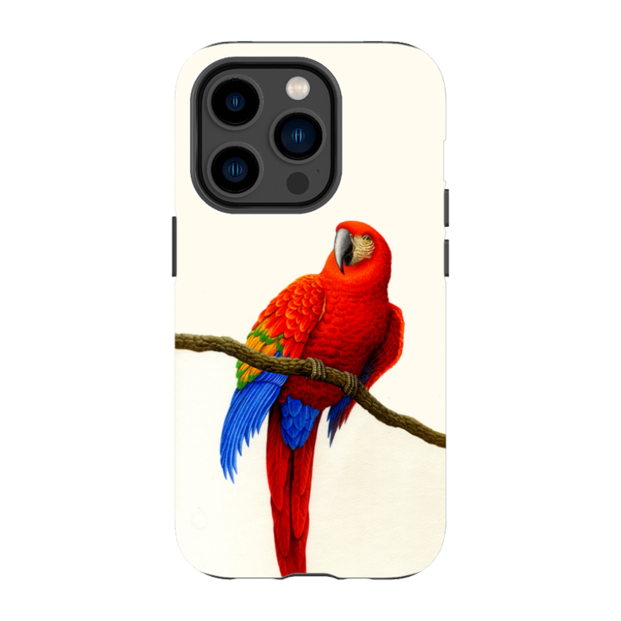 iPhone Tough Case - Scarlet Macaw By Philip Hood