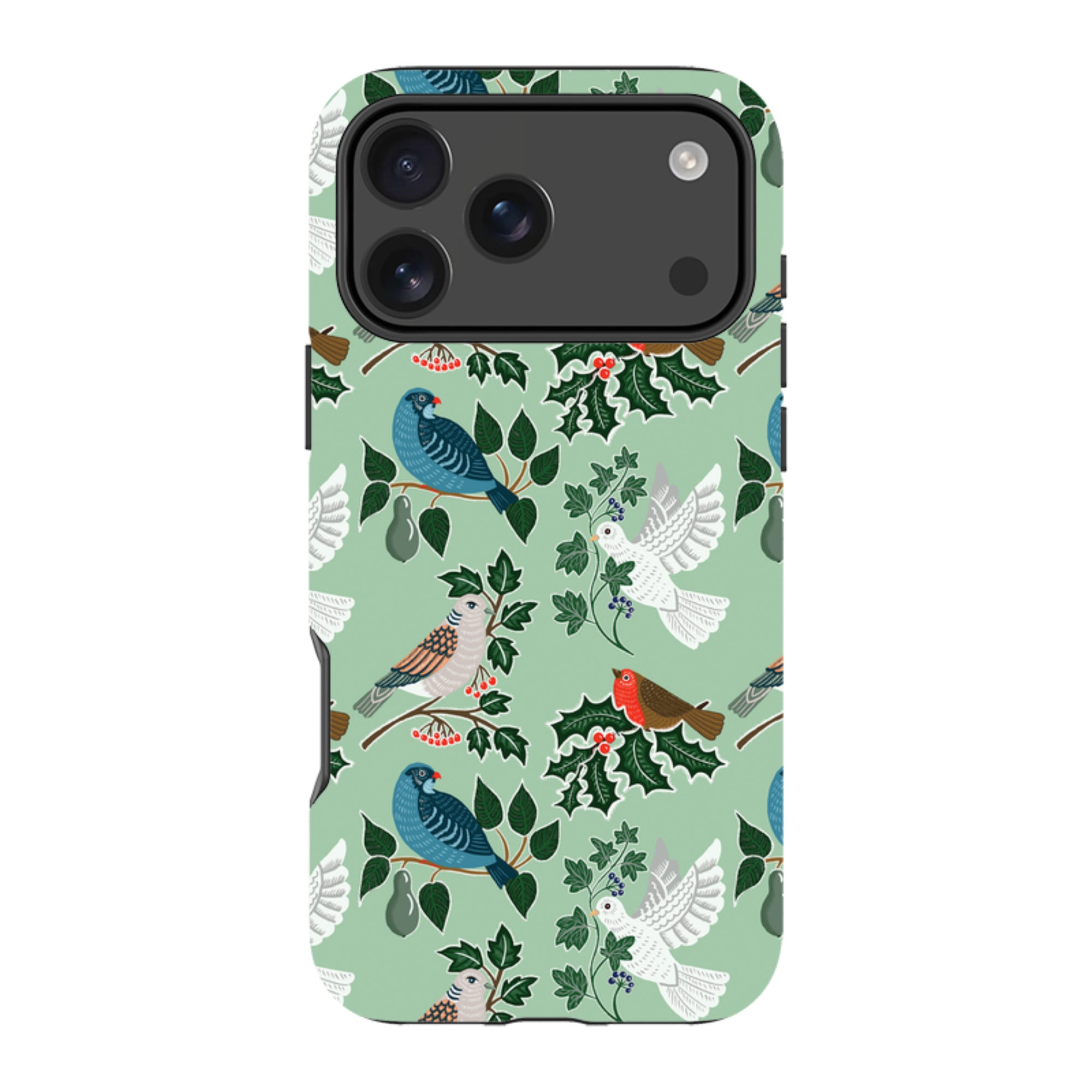 iPhone Tough Case - Winter Birds-1 By kate Heiss