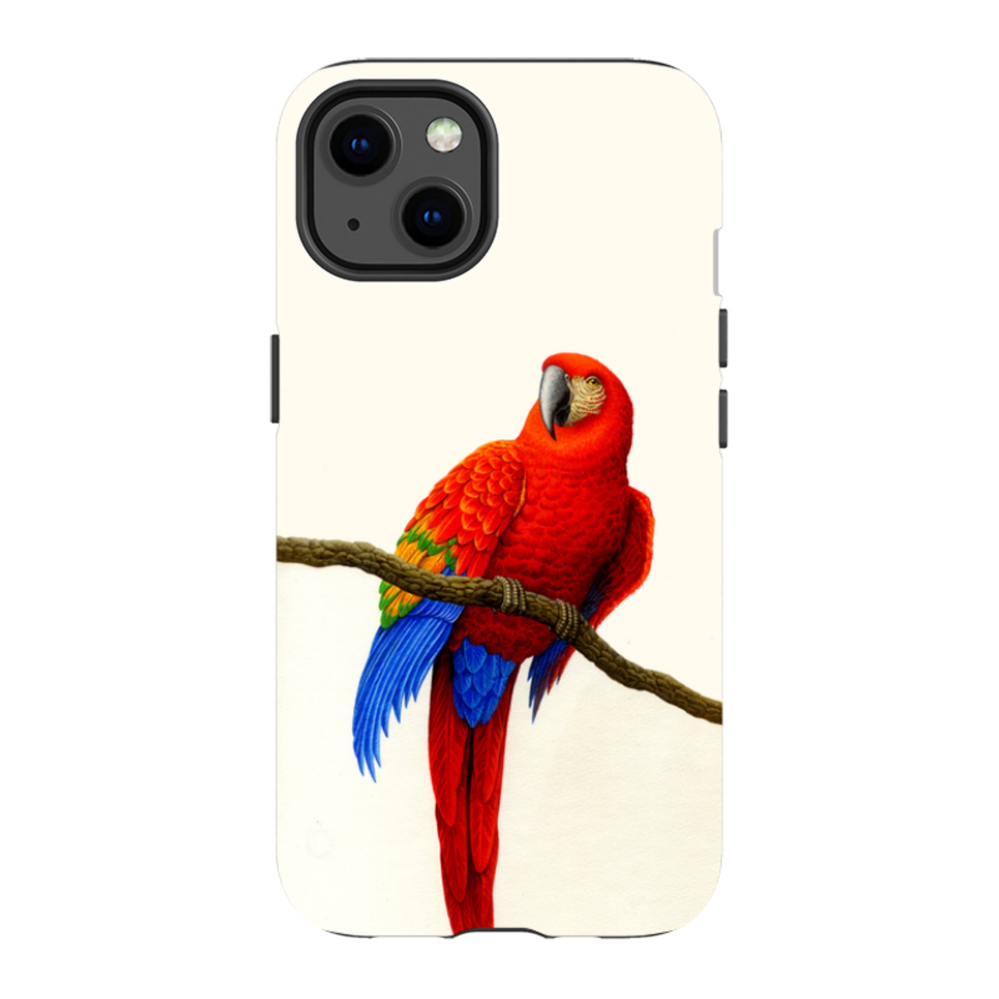 iPhone MagSafe Tough Case -  Scarlett Macaw By Philip Hood