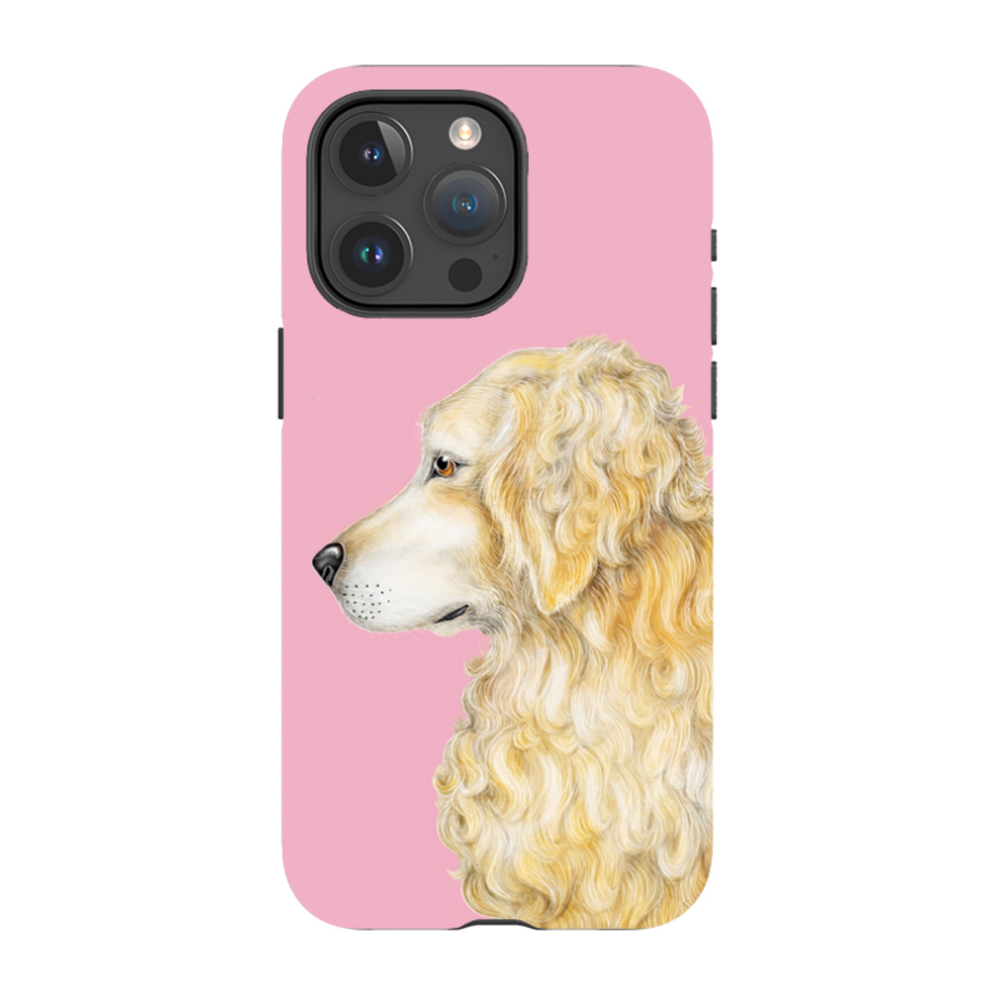 iPhone MagSafe Tough Case - Retriever By Catherine Rowe