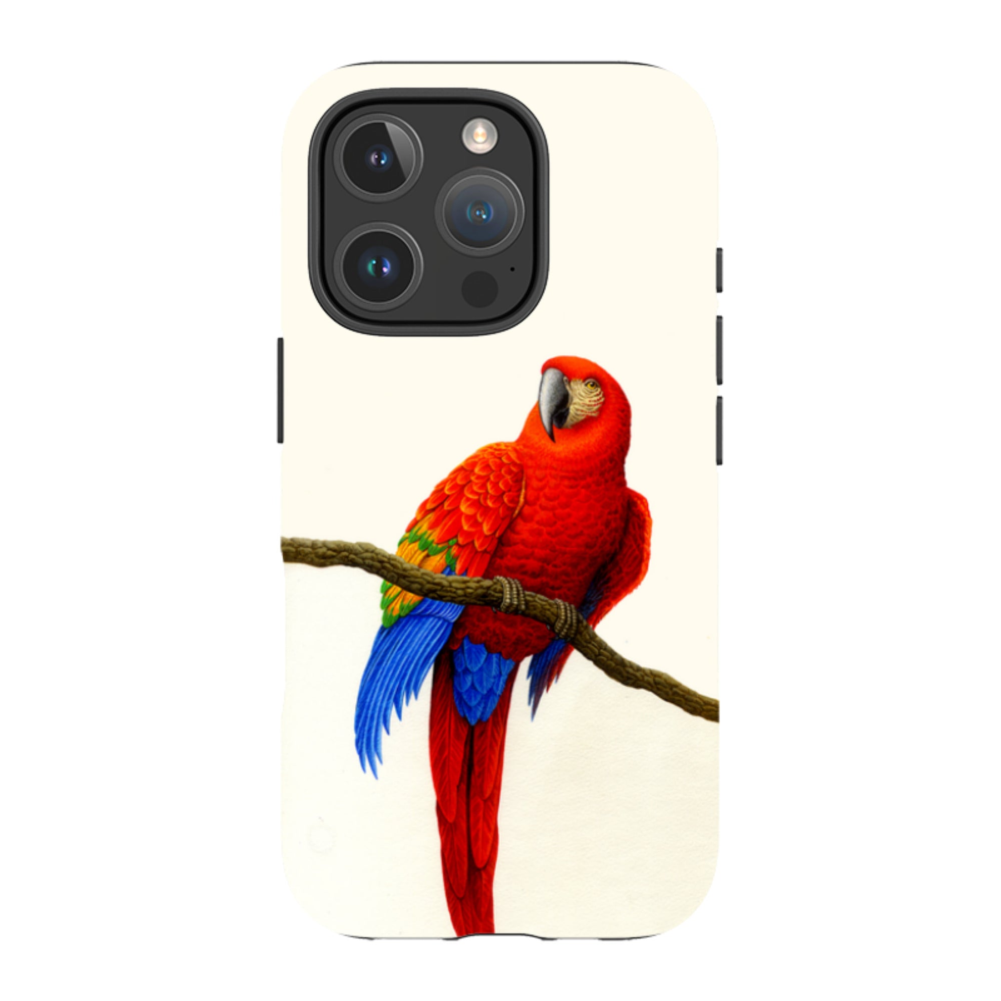 iPhone Tough Case - Scarlet Macaw By Philip Hood