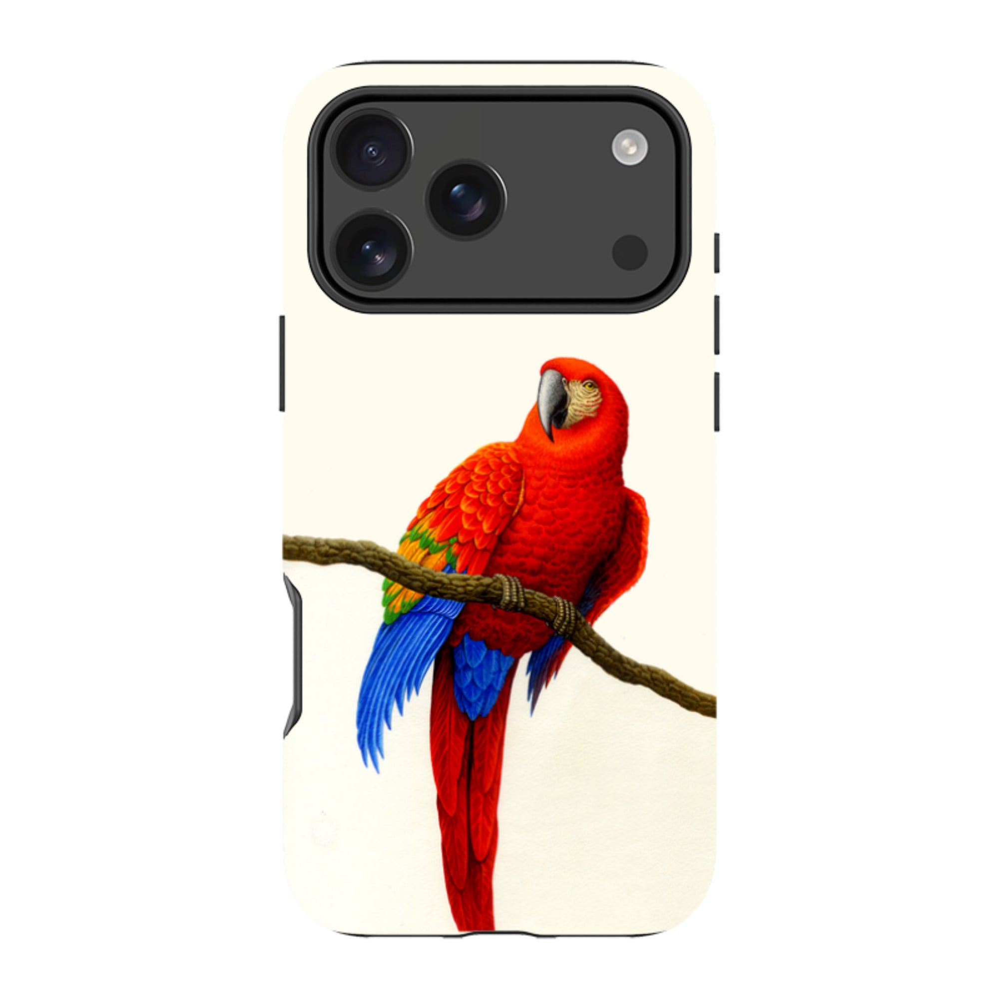 iPhone Tough Case - Scarlet Macaw By Philip Hood