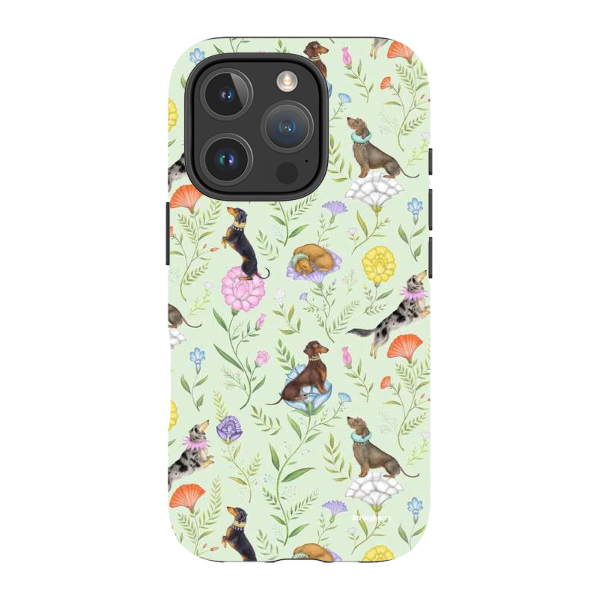 iPhone MagSafe Tough Case -  Doxy Day Afternoon Pistachio By Catherine Rowe