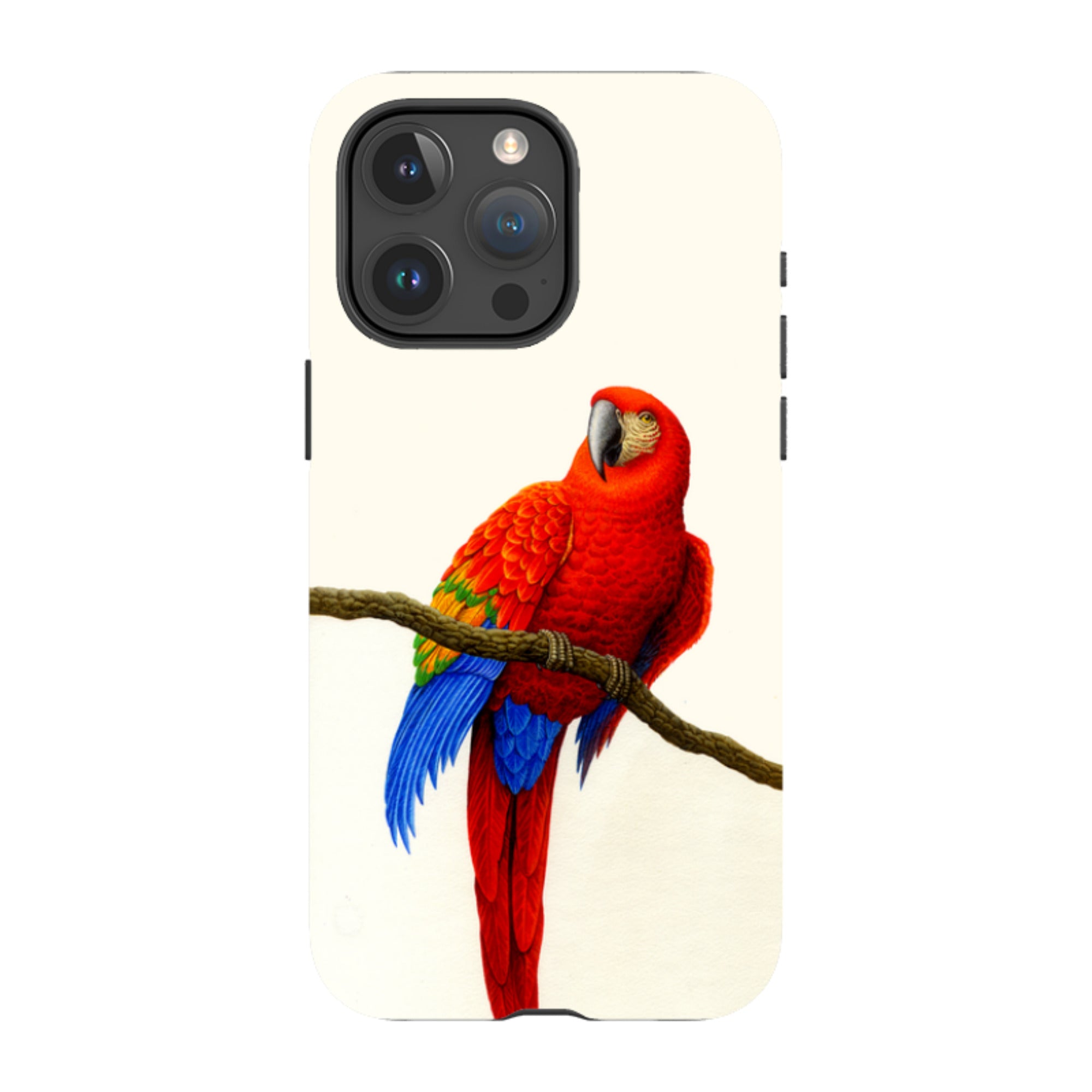 iPhone MagSafe Tough Case -  Scarlett Macaw By Philip Hood
