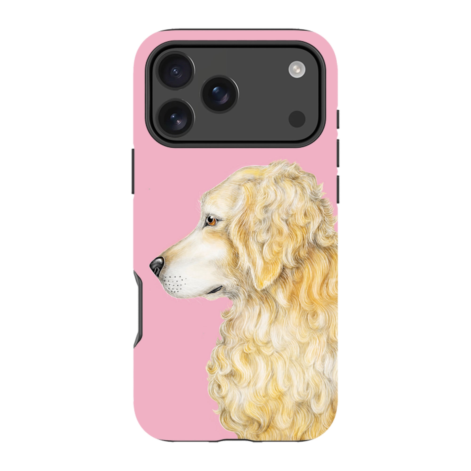 iPhone MagSafe Tough Case - Retriever By Catherine Rowe
