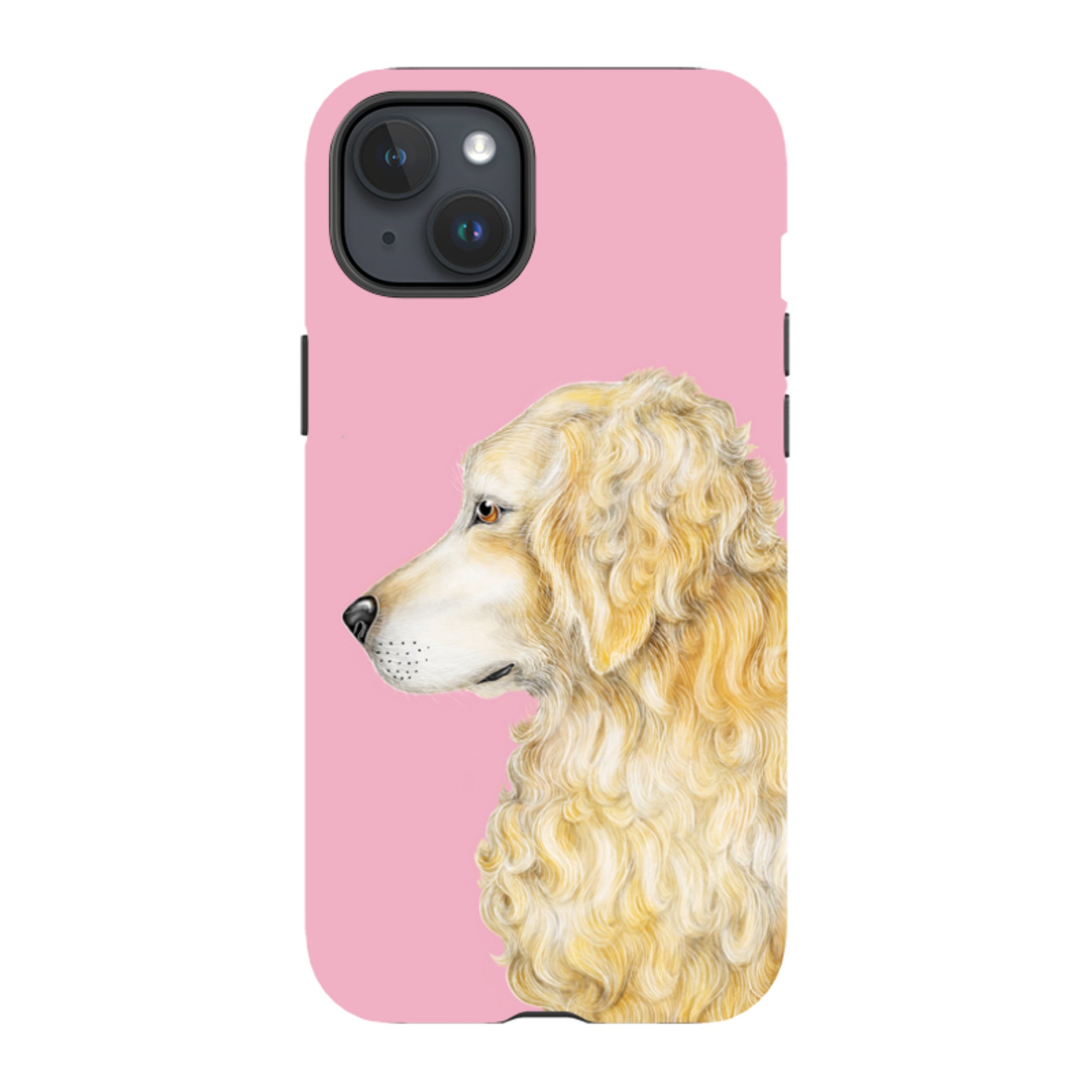 iPhone MagSafe Tough Case - Retriever By Catherine Rowe