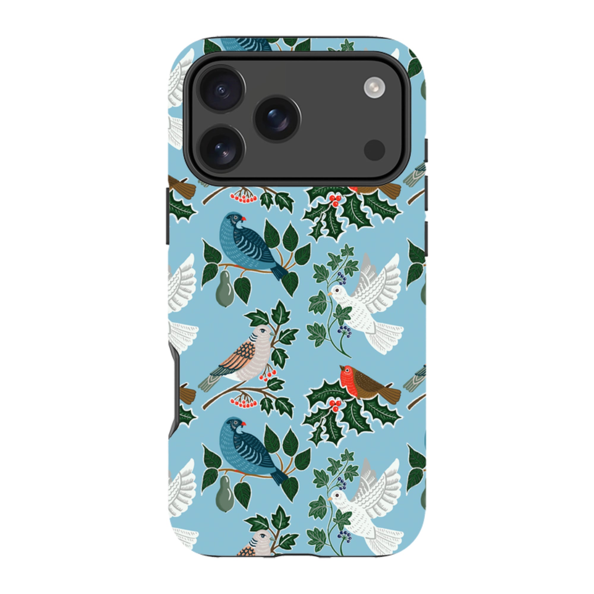 iPhone Tough Case - Winter Birds-2 By kate Heiss