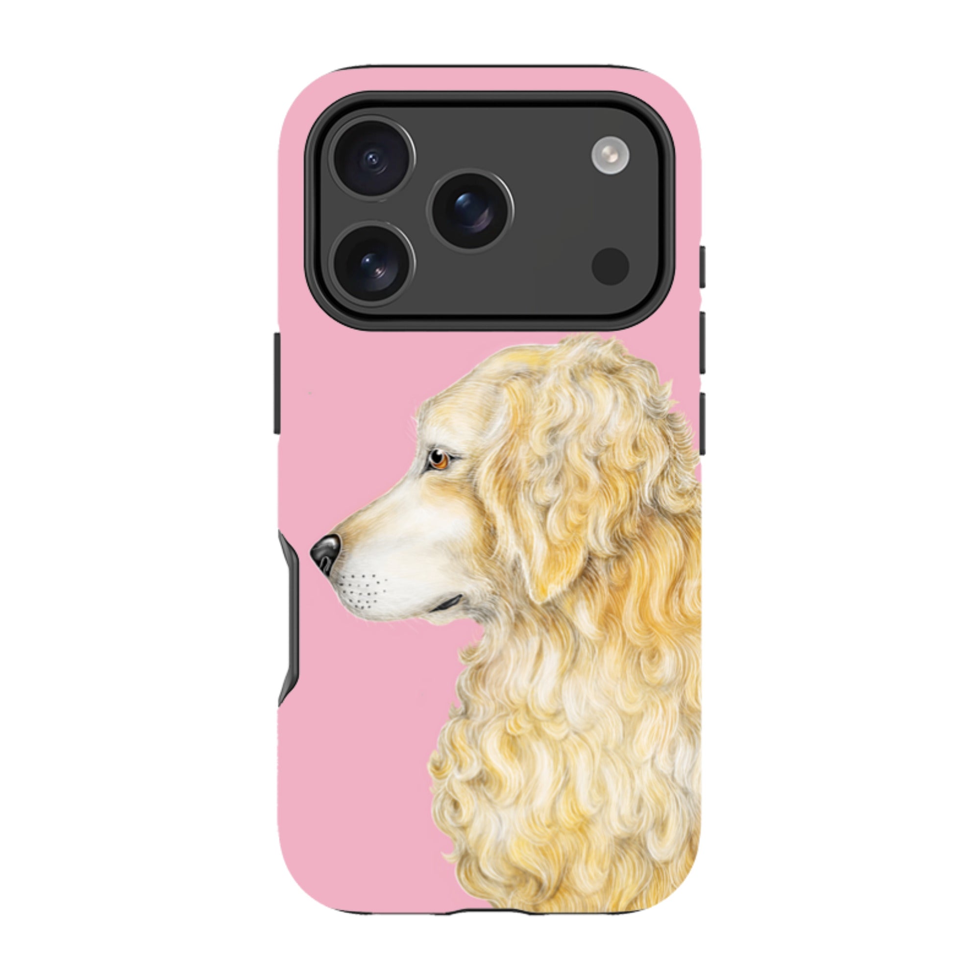 iPhone MagSafe Tough Case - Retriever By Catherine Rowe