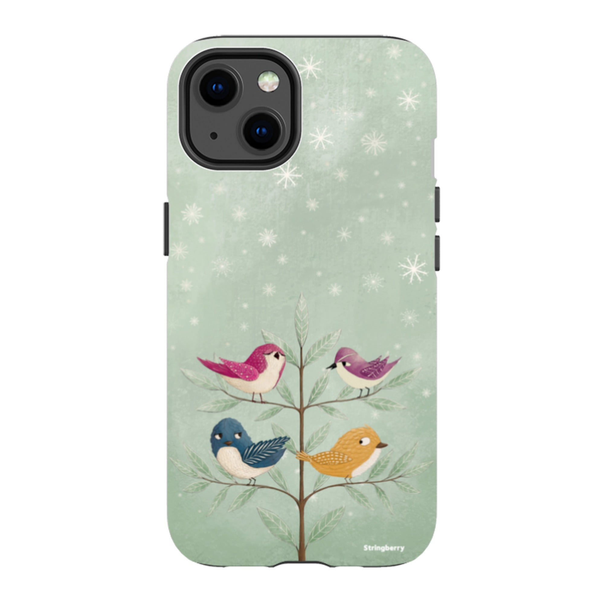 iPhone MagSafe Tough Case - Garden Birds Aqua By Maja Lindberg