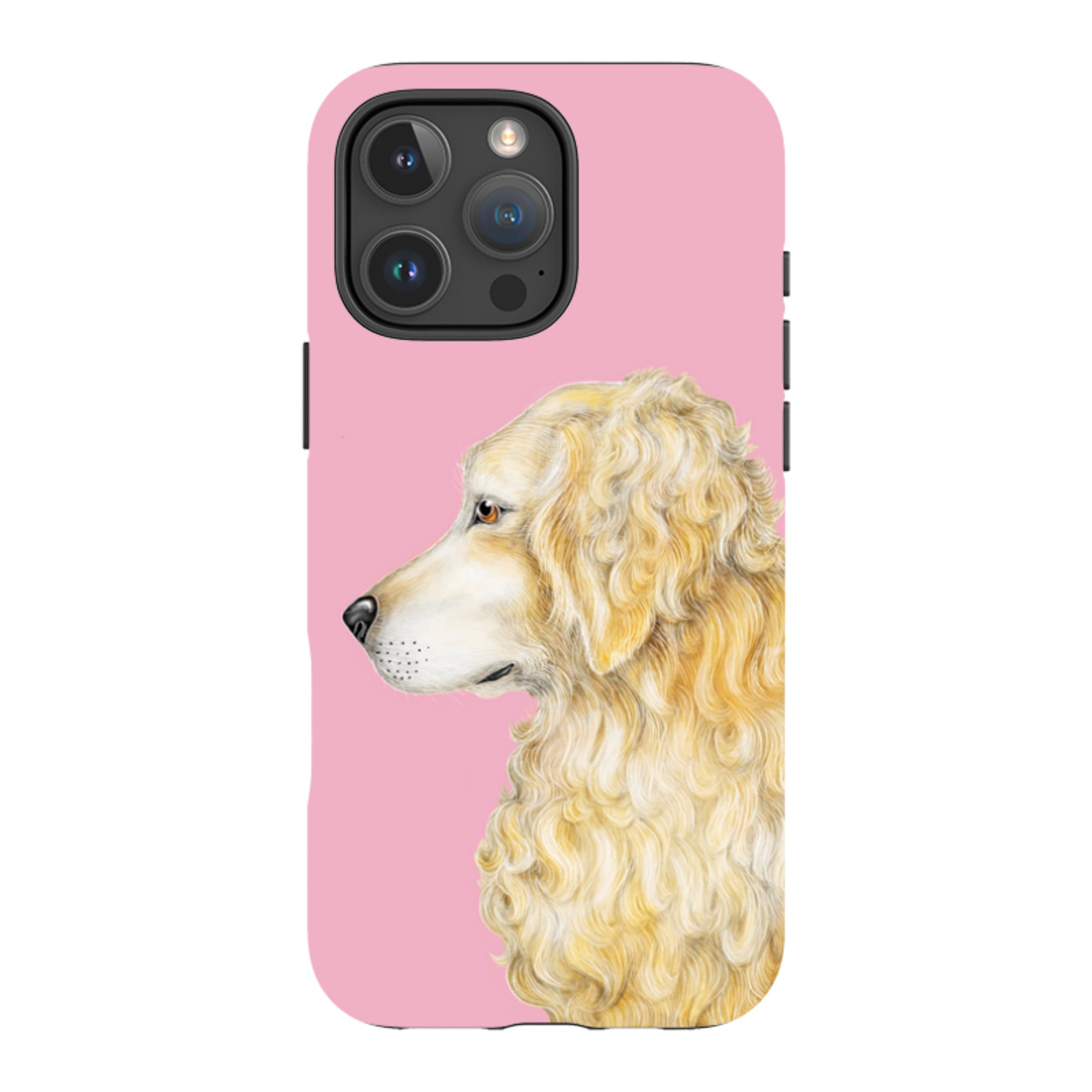 iPhone MagSafe Tough Case - Retriever By Catherine Rowe