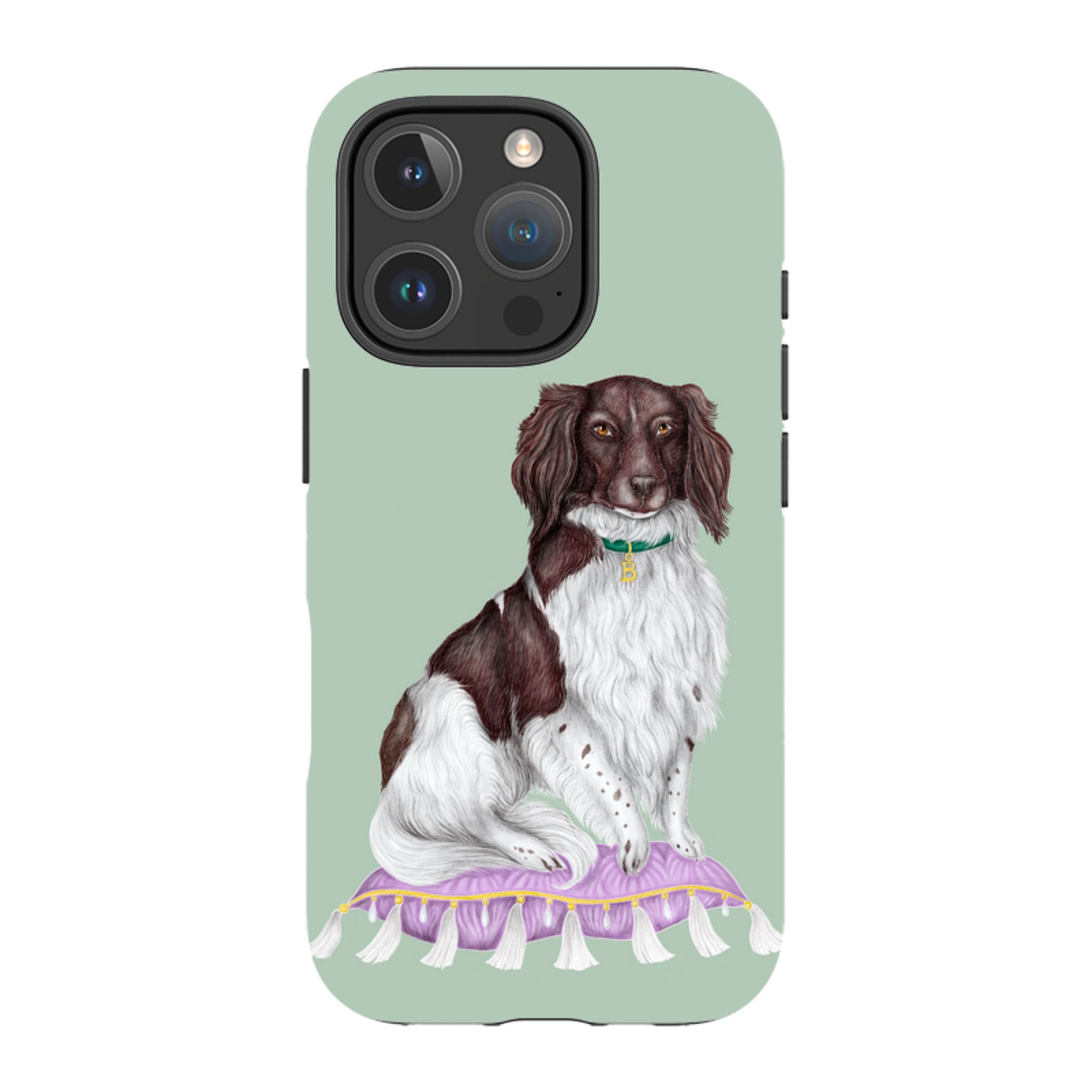 iPhone MagSafe Tough Case - Spaniel By Catherine Rowe