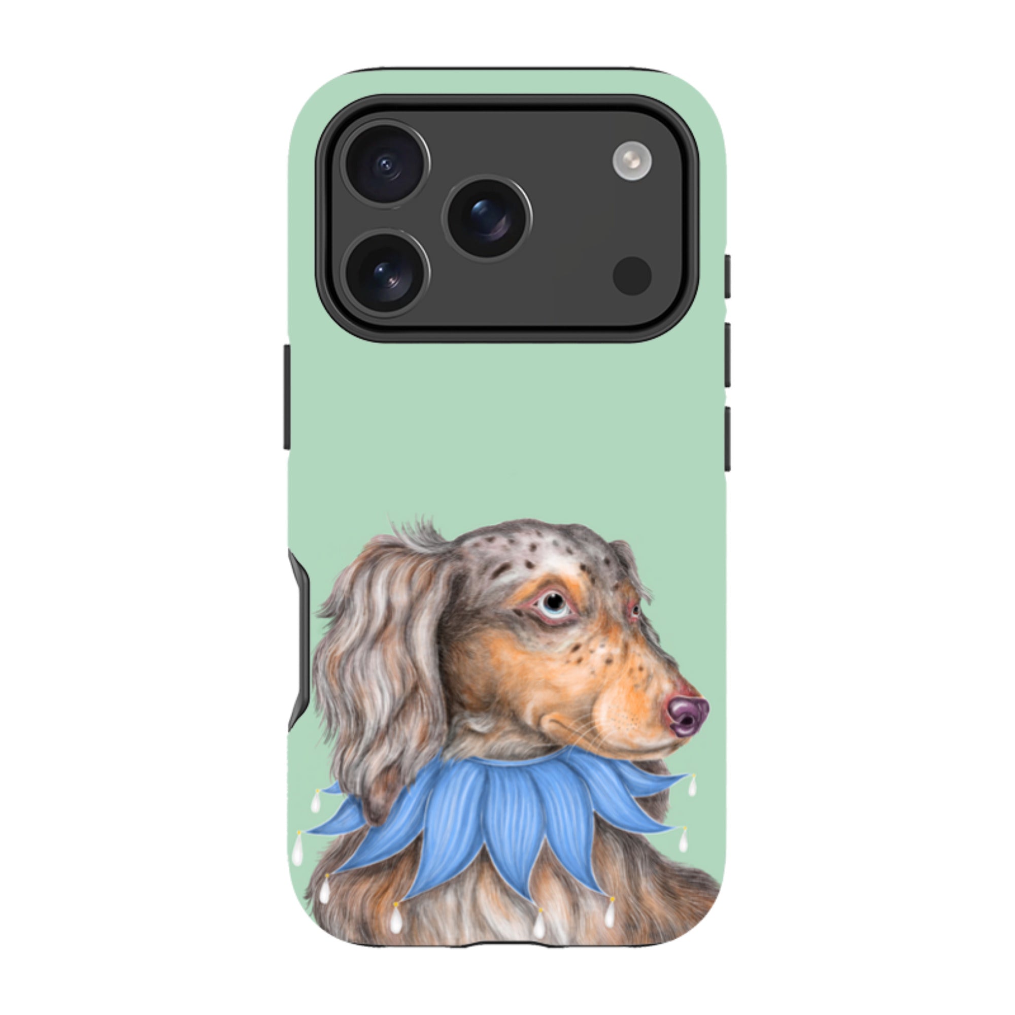 iPhone MagSafe Tough Case - Dachshund By Catherine Rowe