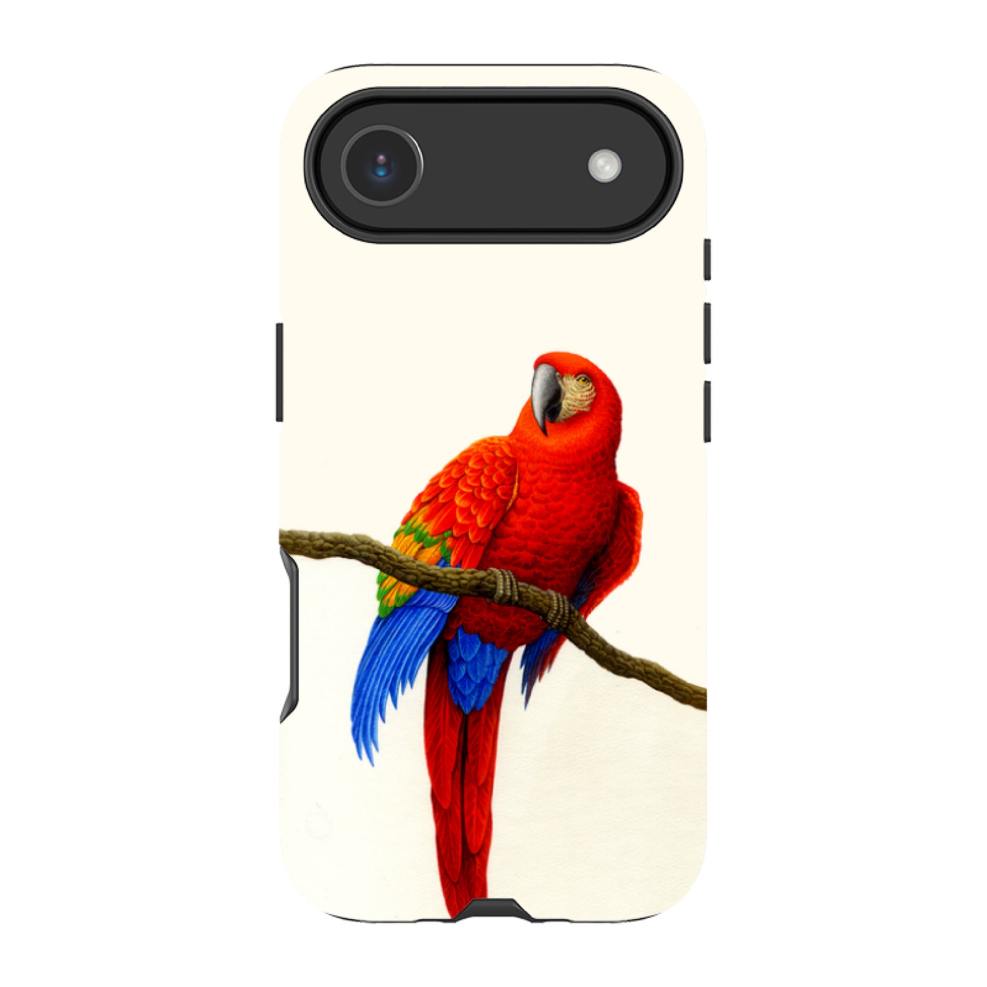 iPhone Tough Case - Scarlet Macaw By Philip Hood