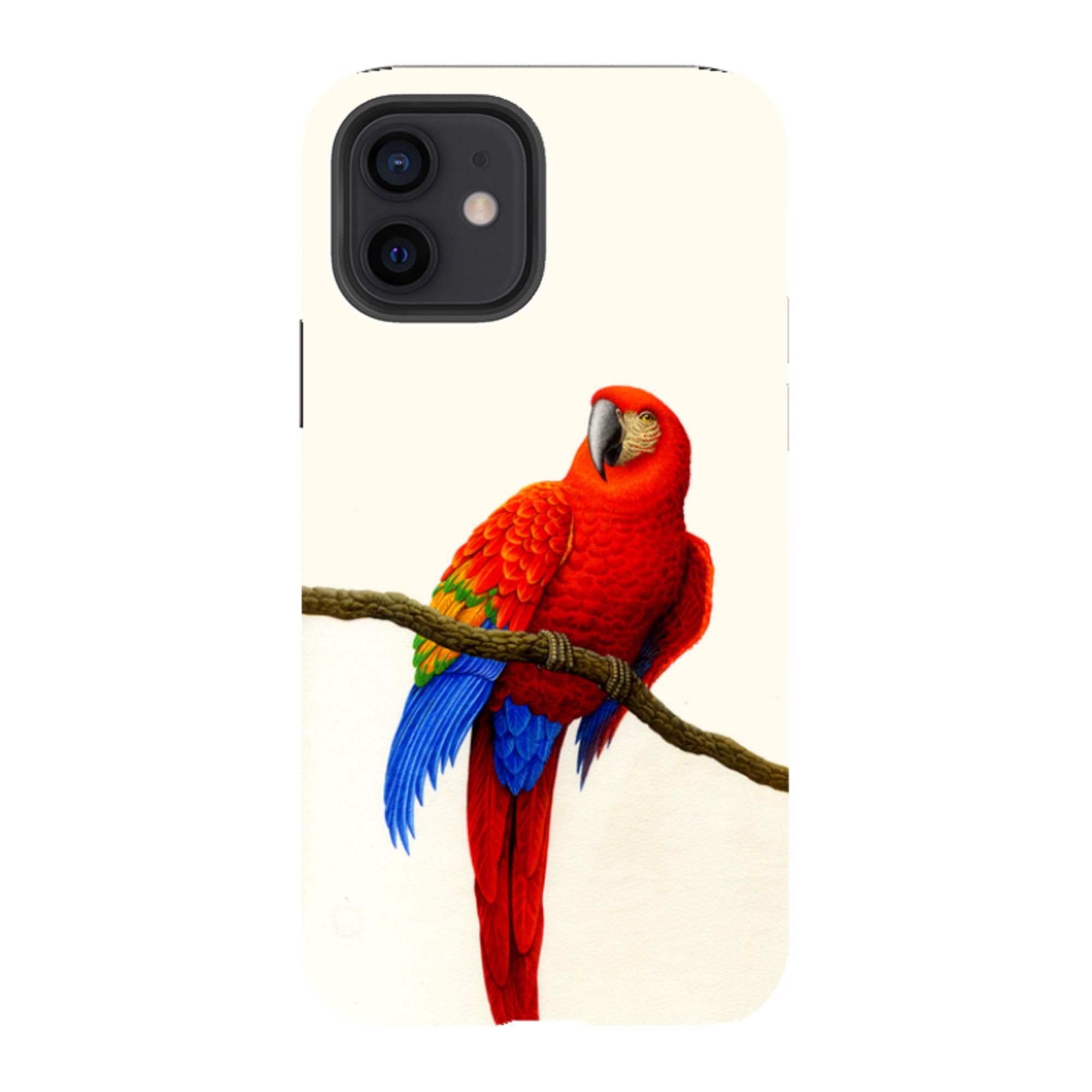 iPhone Tough Case - Scarlet Macaw By Philip Hood