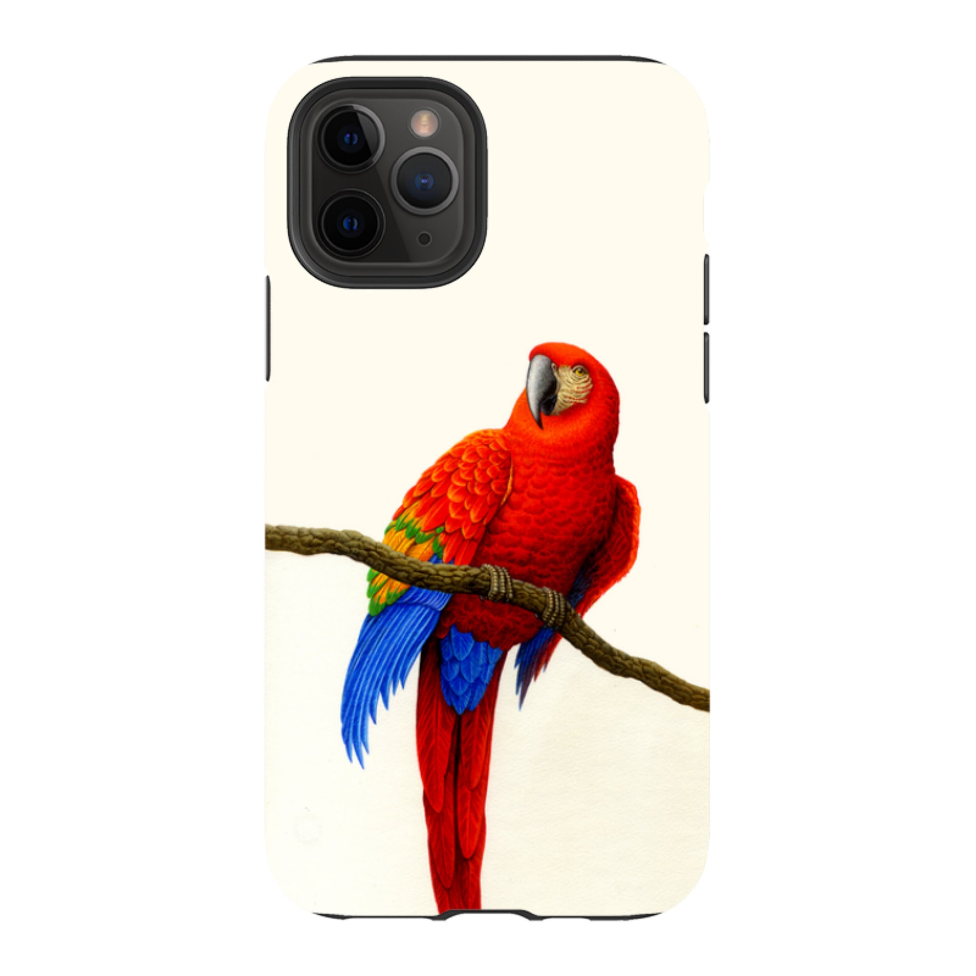 iPhone Tough Case - Scarlet Macaw By Philip Hood